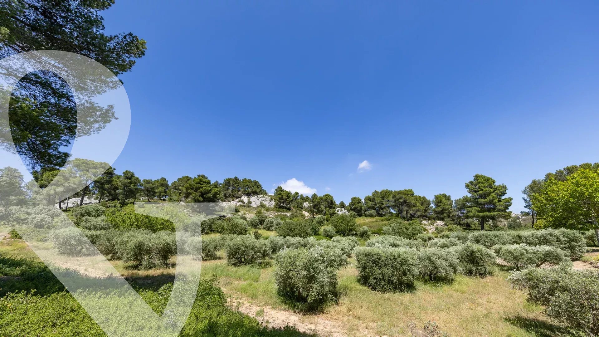 MAISON EN POSITION DOMINANTE