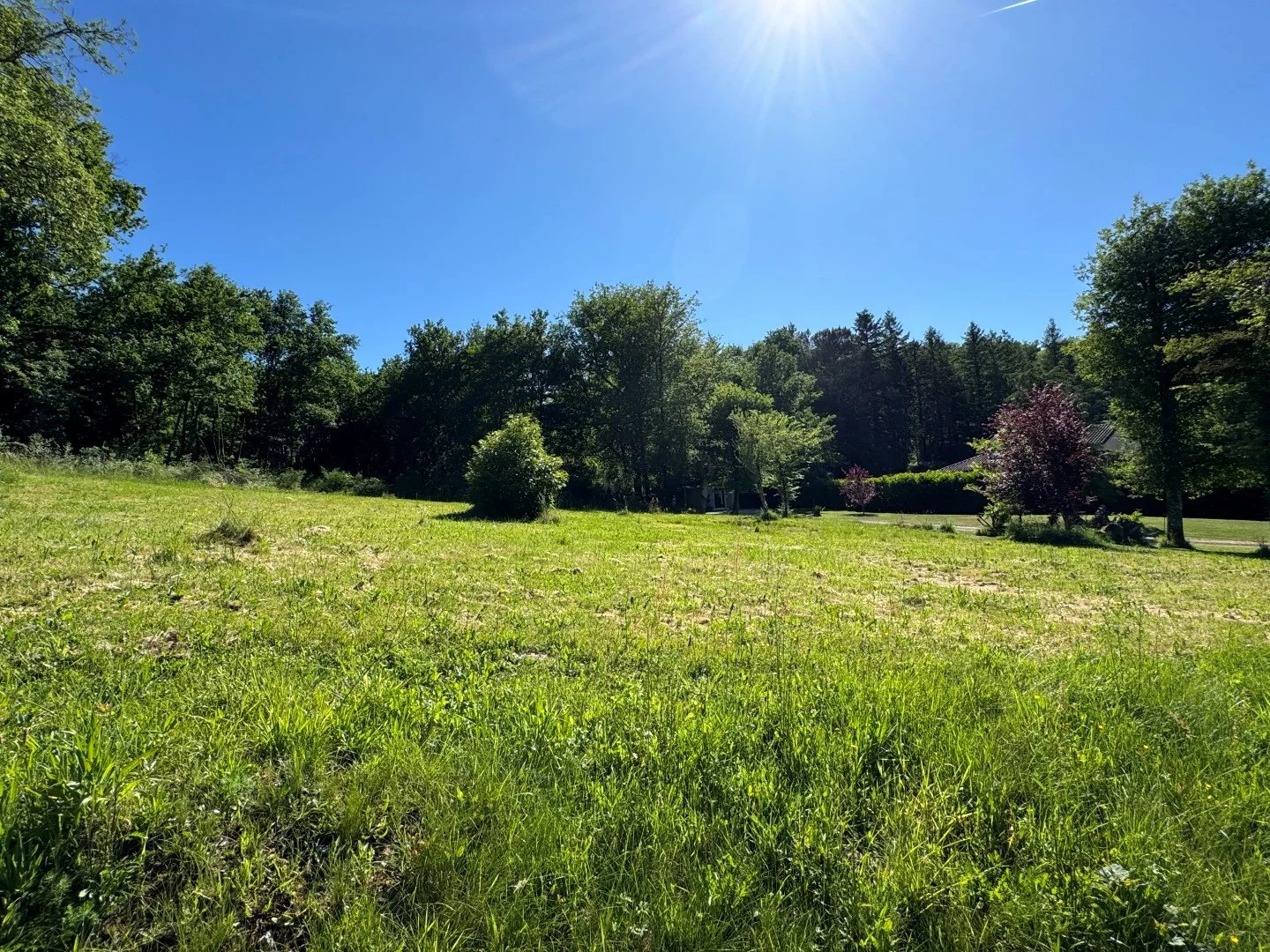 Agence immobilière de Charles Loftie Immobilier