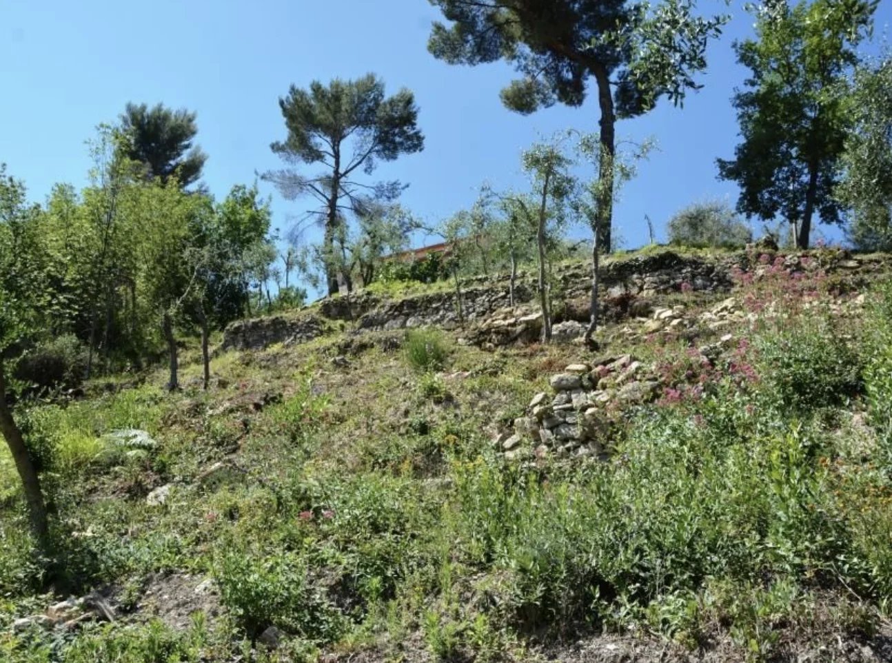 Agence immobilière de Infinity Group Immobilier