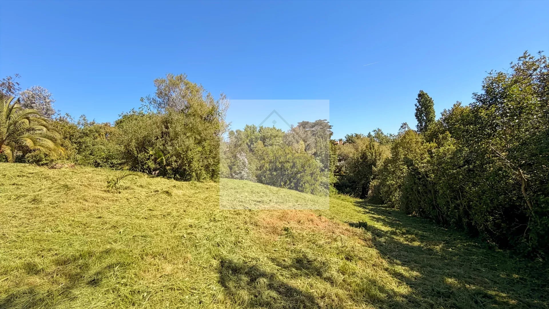 MANDELIEU — TERRAIN AVEC PROJET DE VILLA CONTEMPORAINE & PERMIS PURGÉ — photo 3