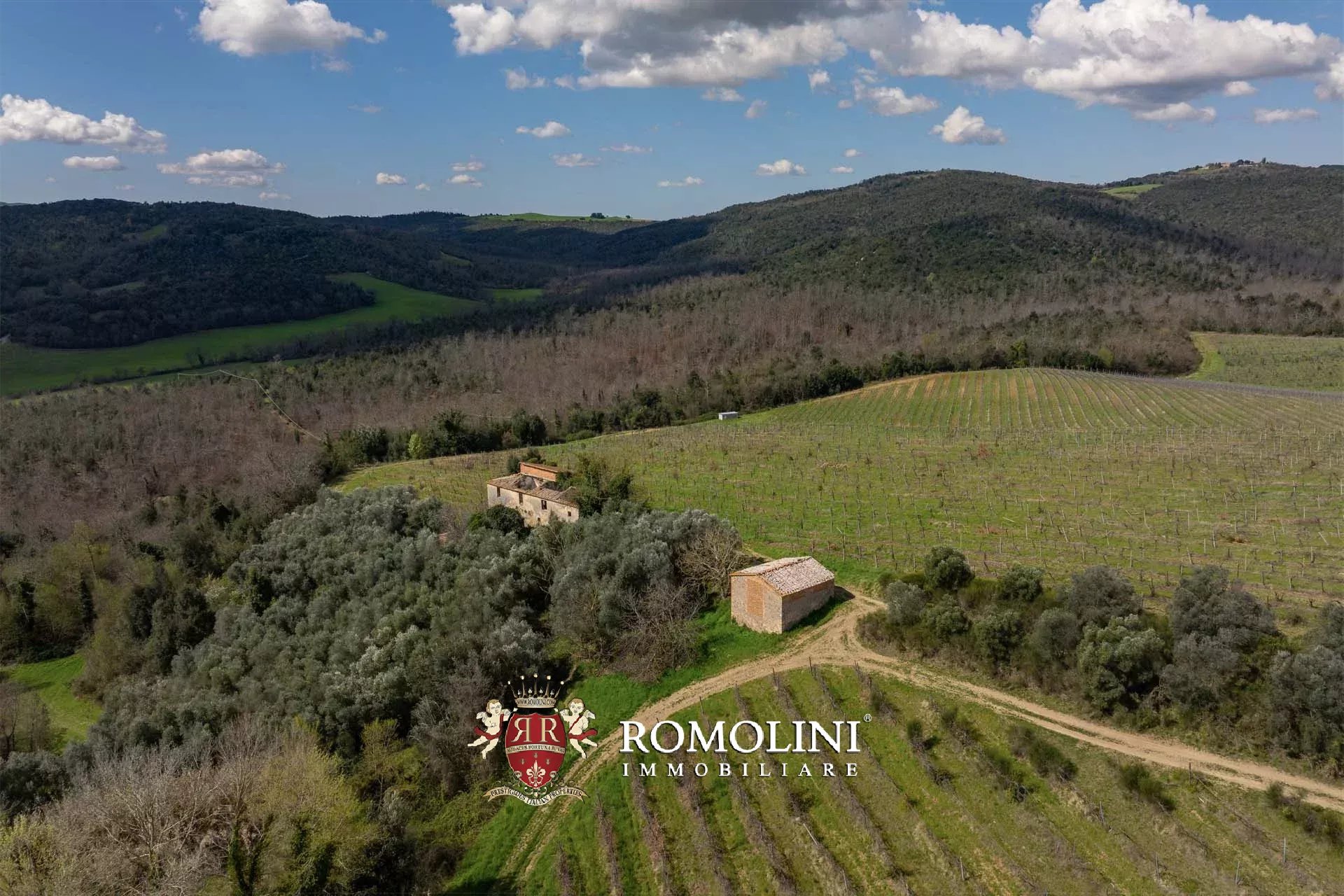35 Bedroom Vineyard's Image 21