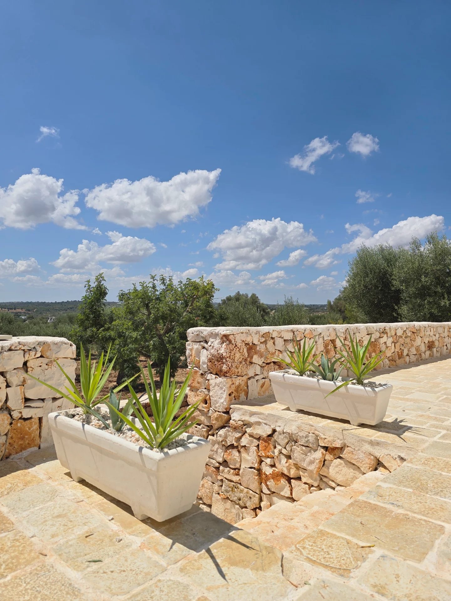 Sale Property Ostuni