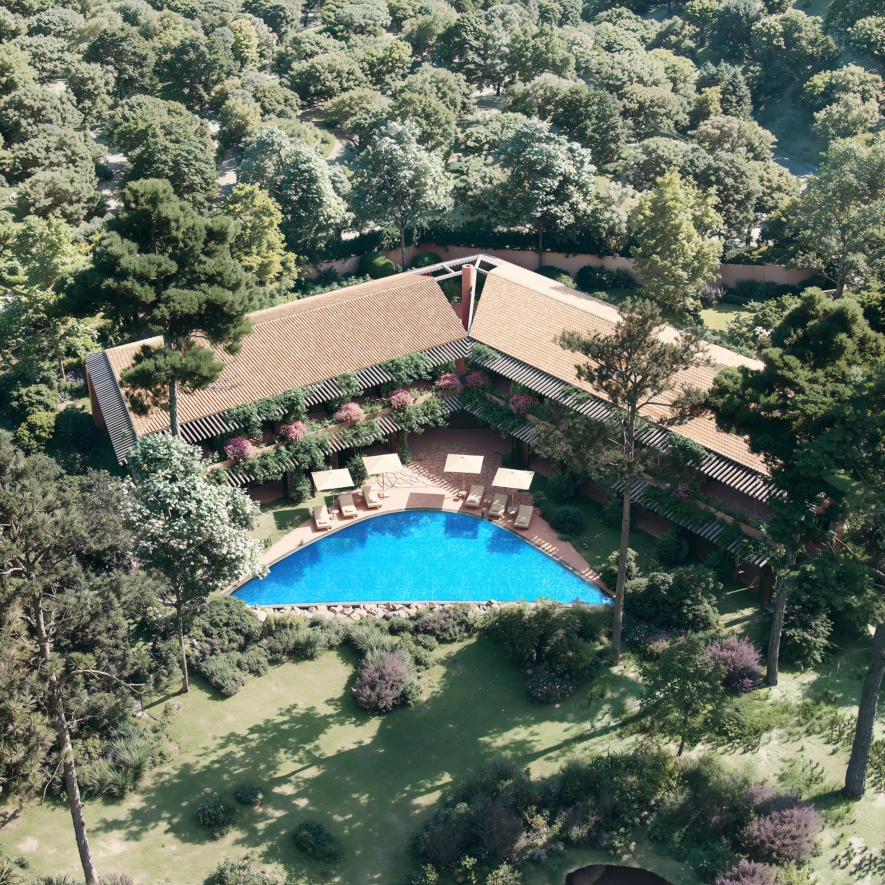 Exceptional land 1 Hectare Sea View