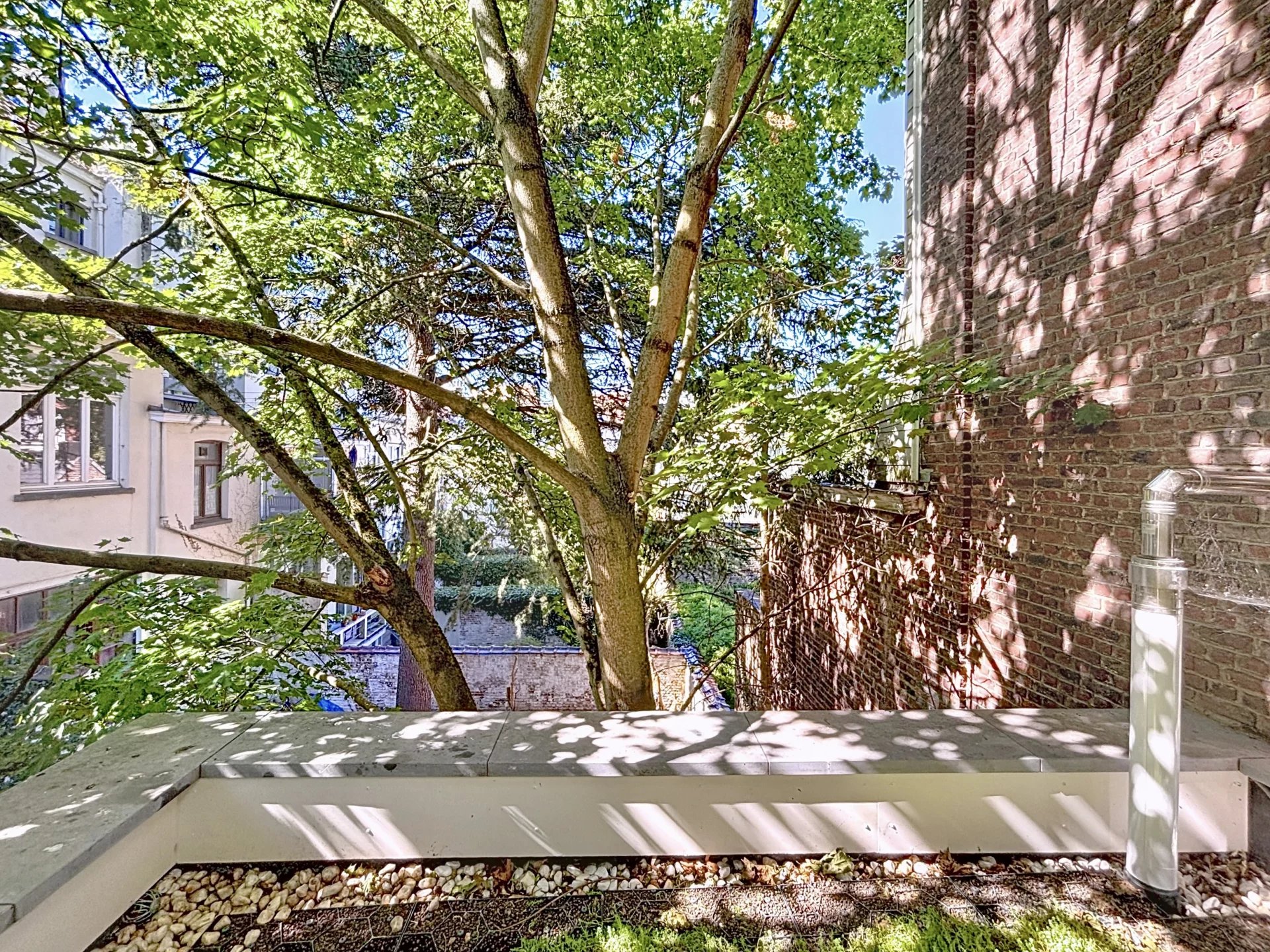 Maison neuve, terrasse et rooftop plein sud