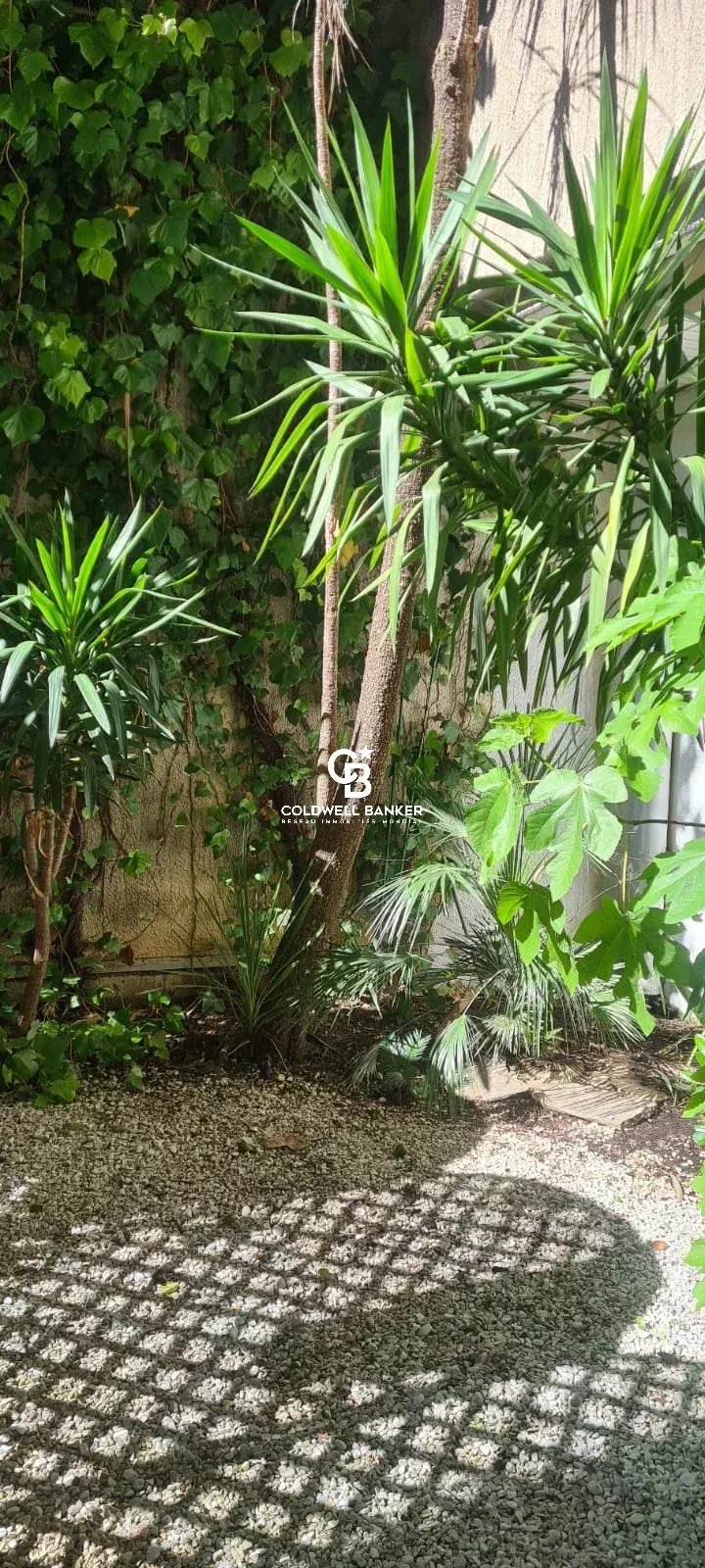 MONEGHETTI / STUDIO MEUBLE  USAGE MIXTE