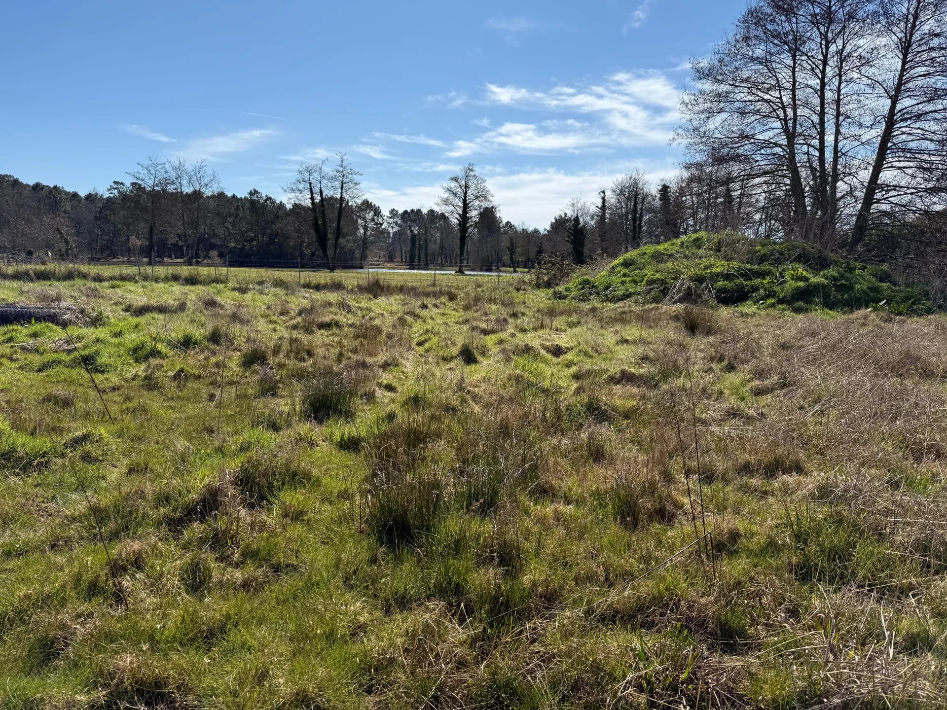 Vente Terrain constructible Saint-Aubin-de-Blaye