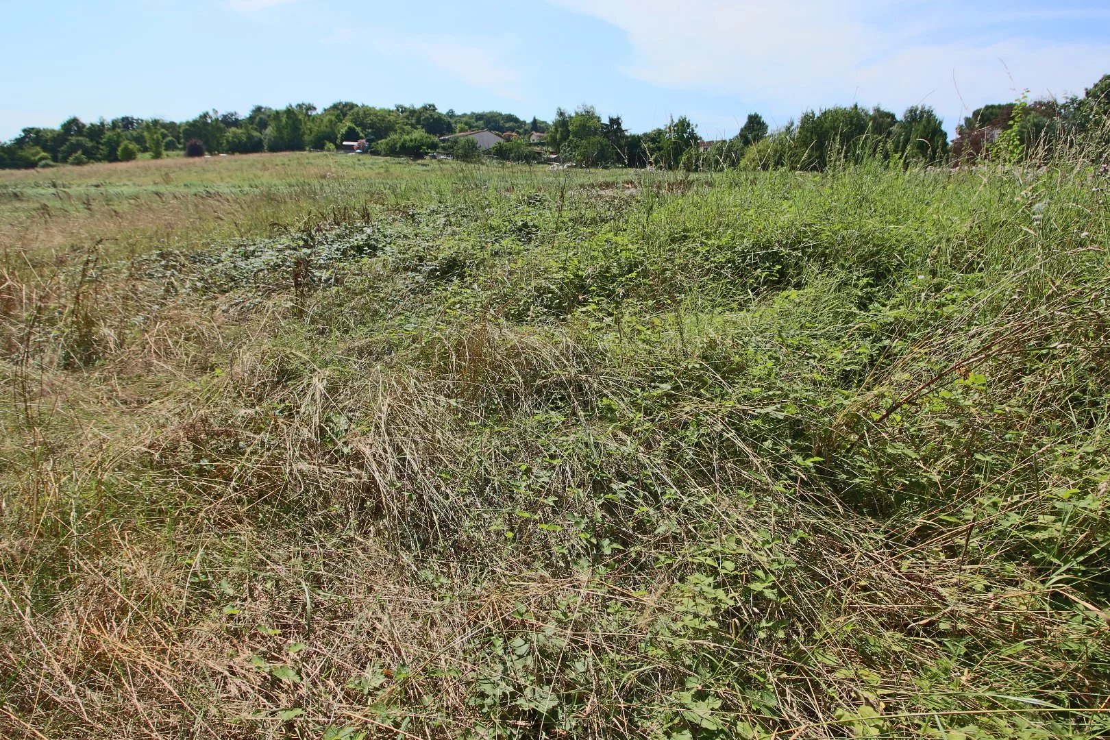 Vente Terrain Blajan