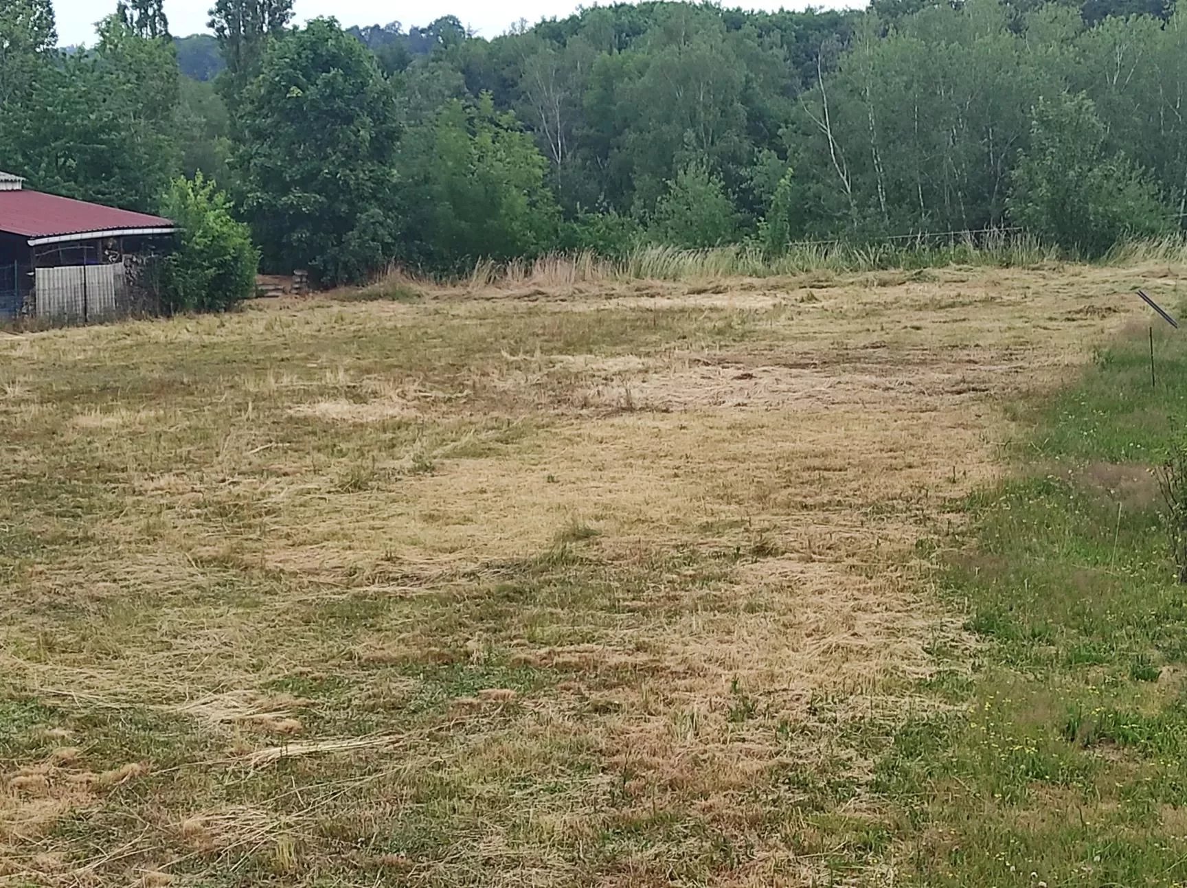 Vente Terrain Pouxeux