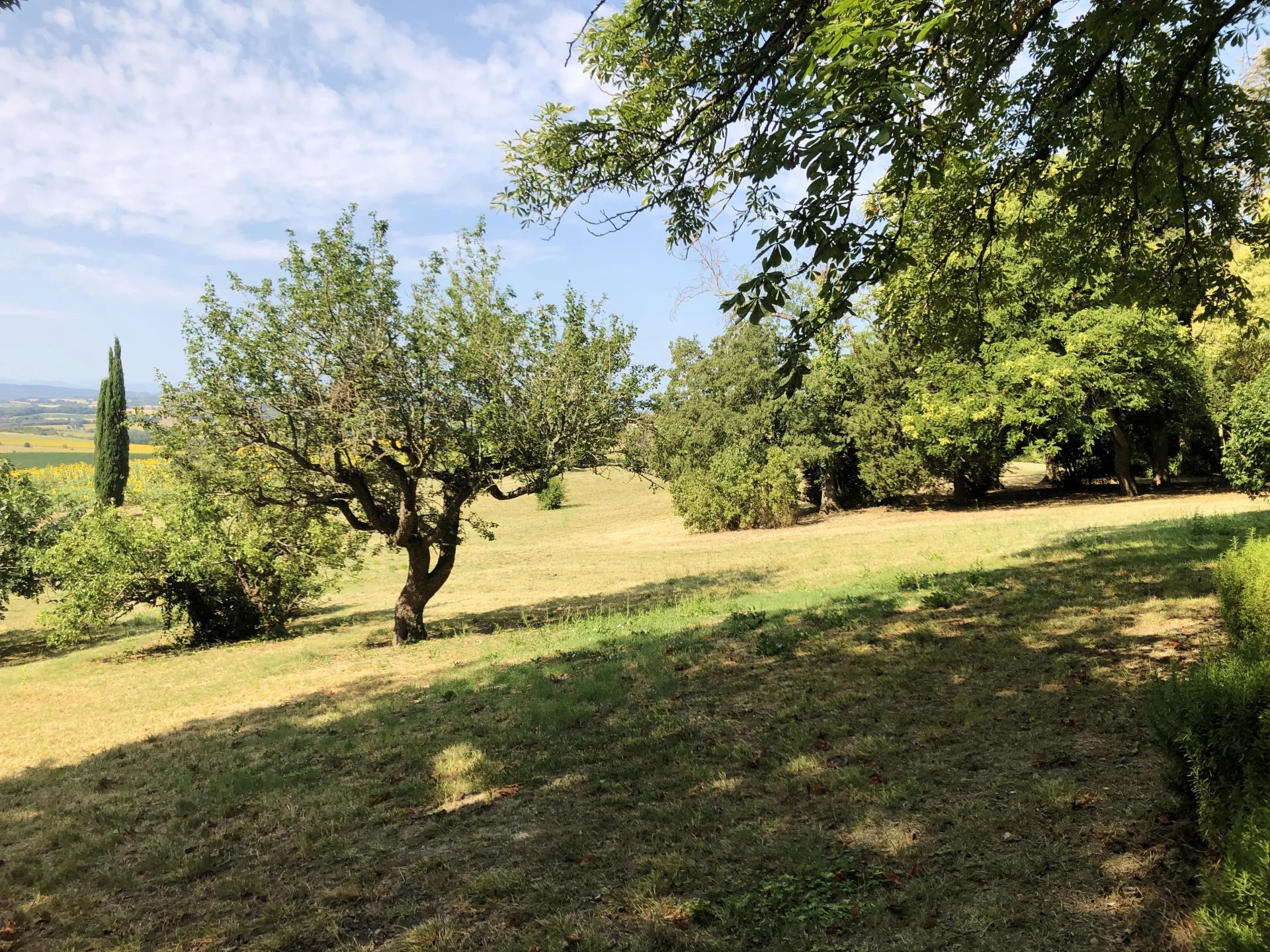 House in Carcassonne - Image 2