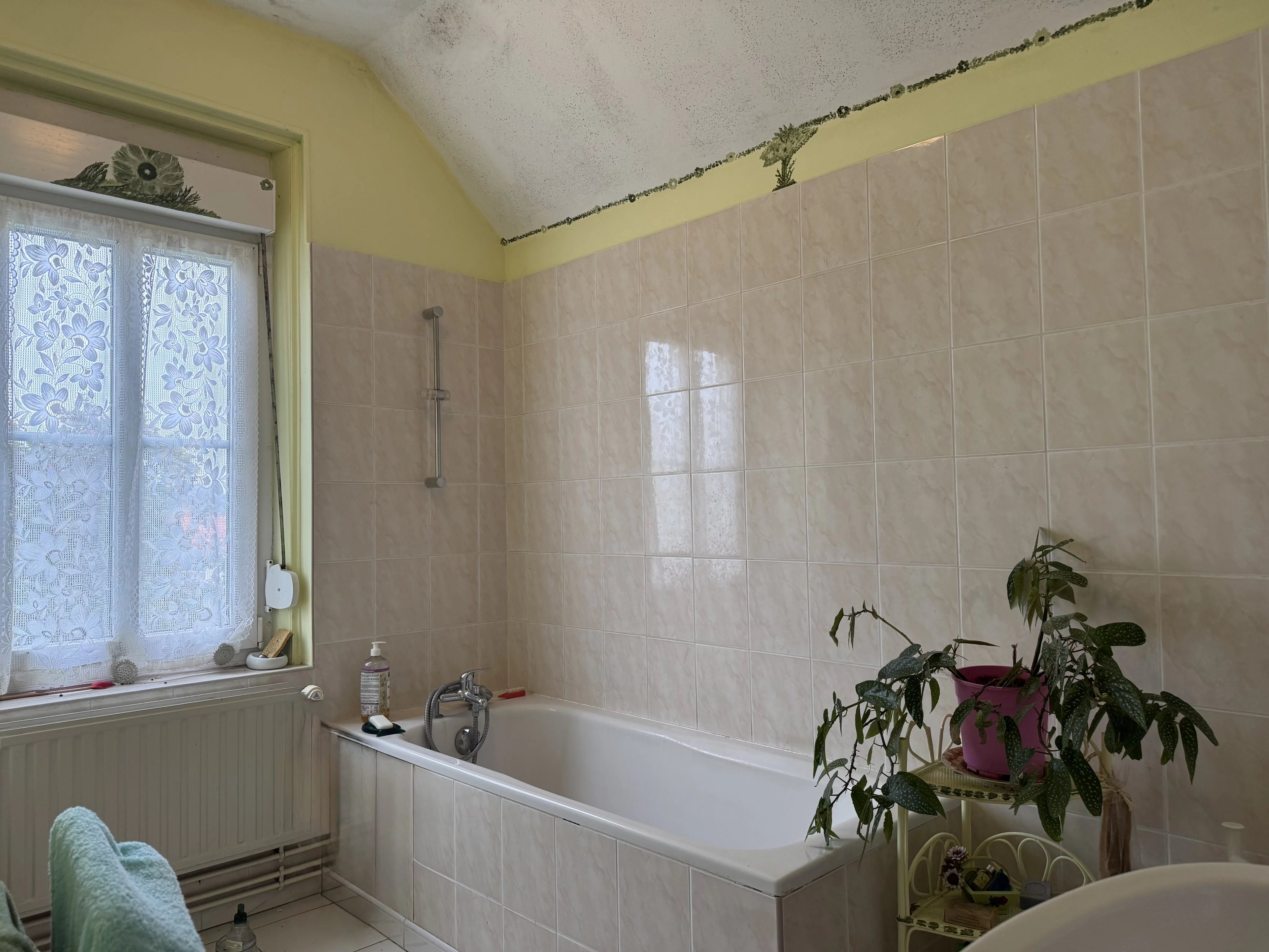 EXCLUSIVITÉ – MAISON DE PAYS SUR MAGNIFIQUE JARDIN DE 1 600 M² – 3 CHAMBRES — photo 13