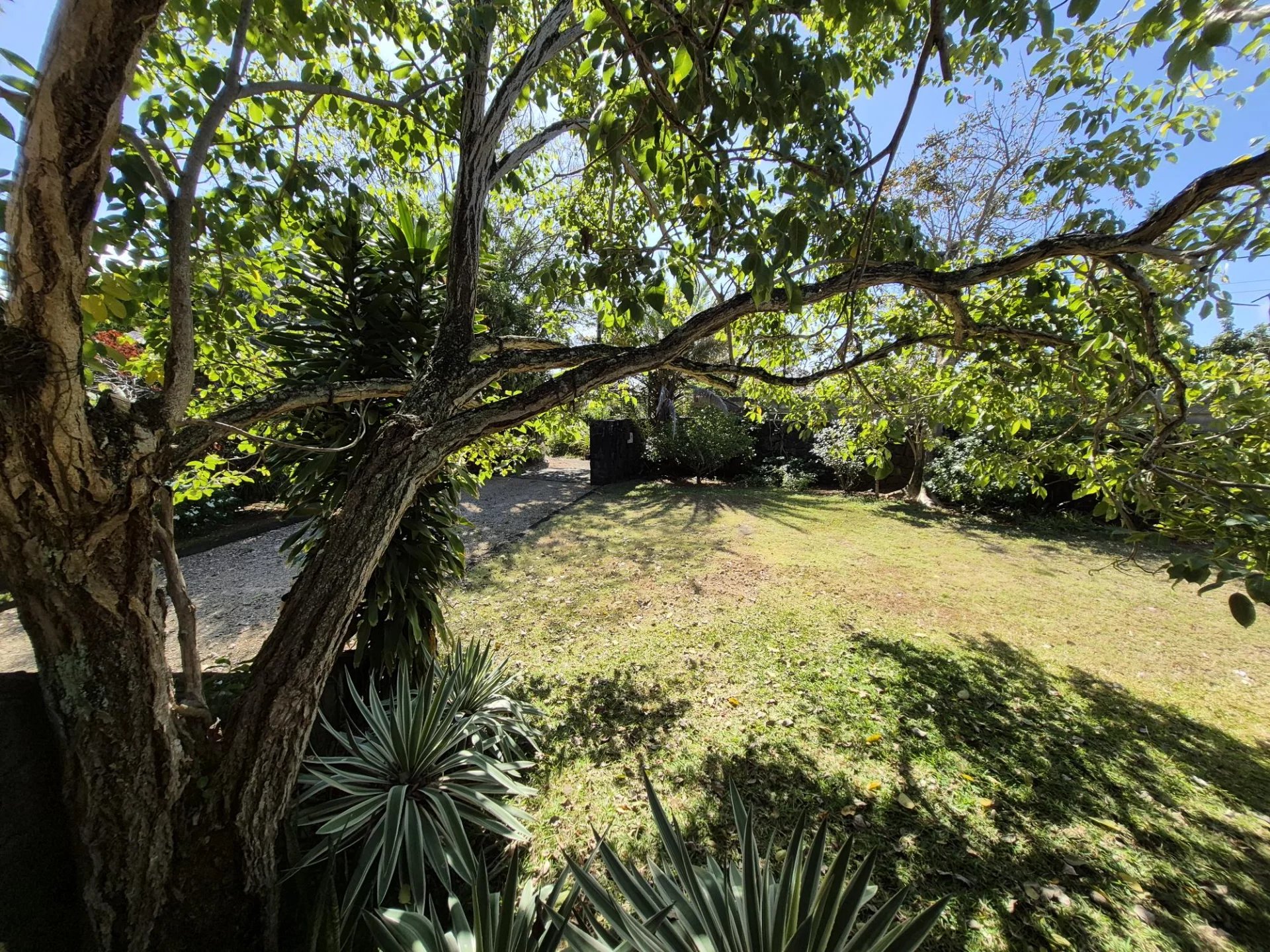 Ev Grand Gaube - picture 27