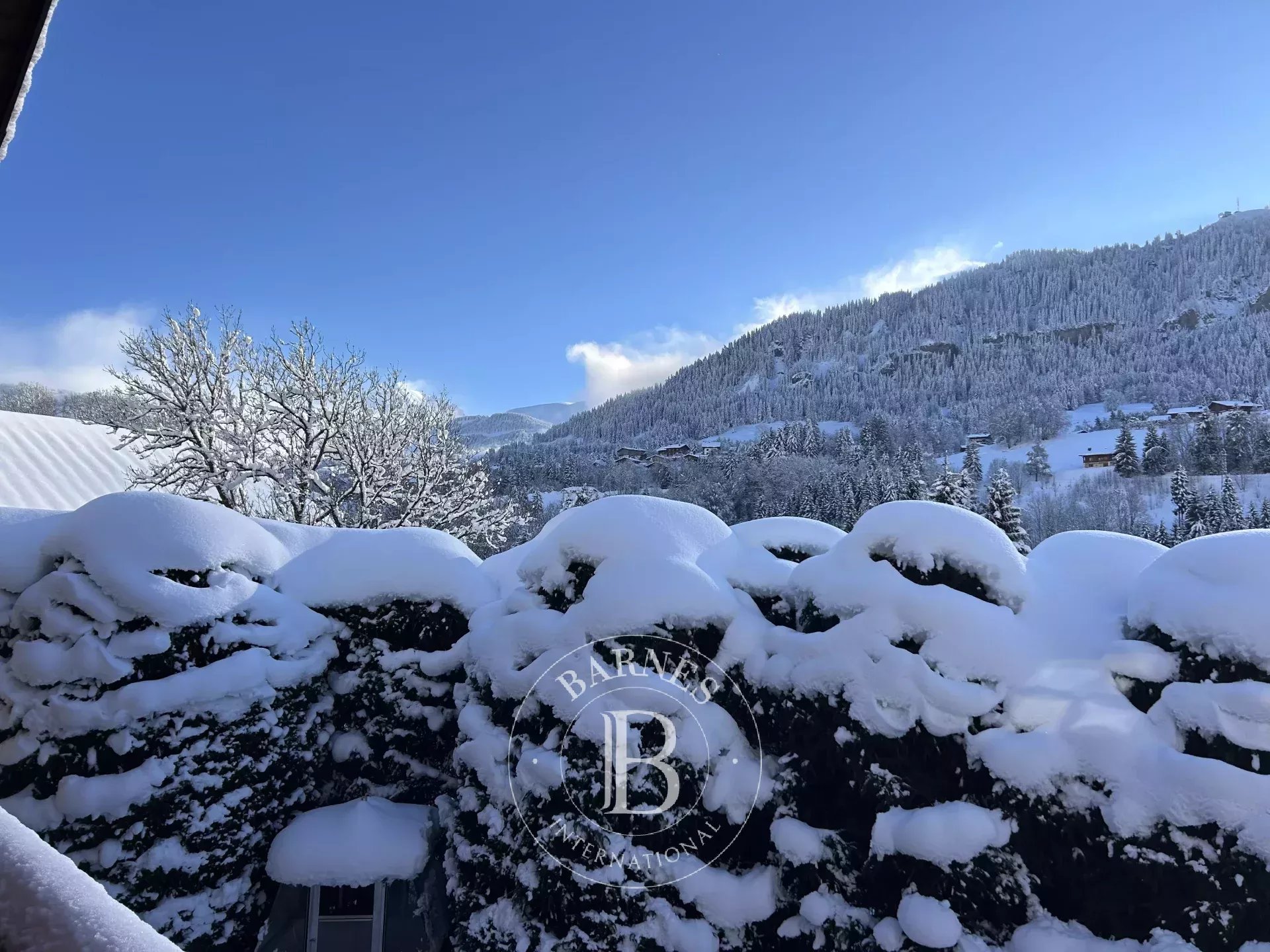 Dağ evi Megève - picture 13