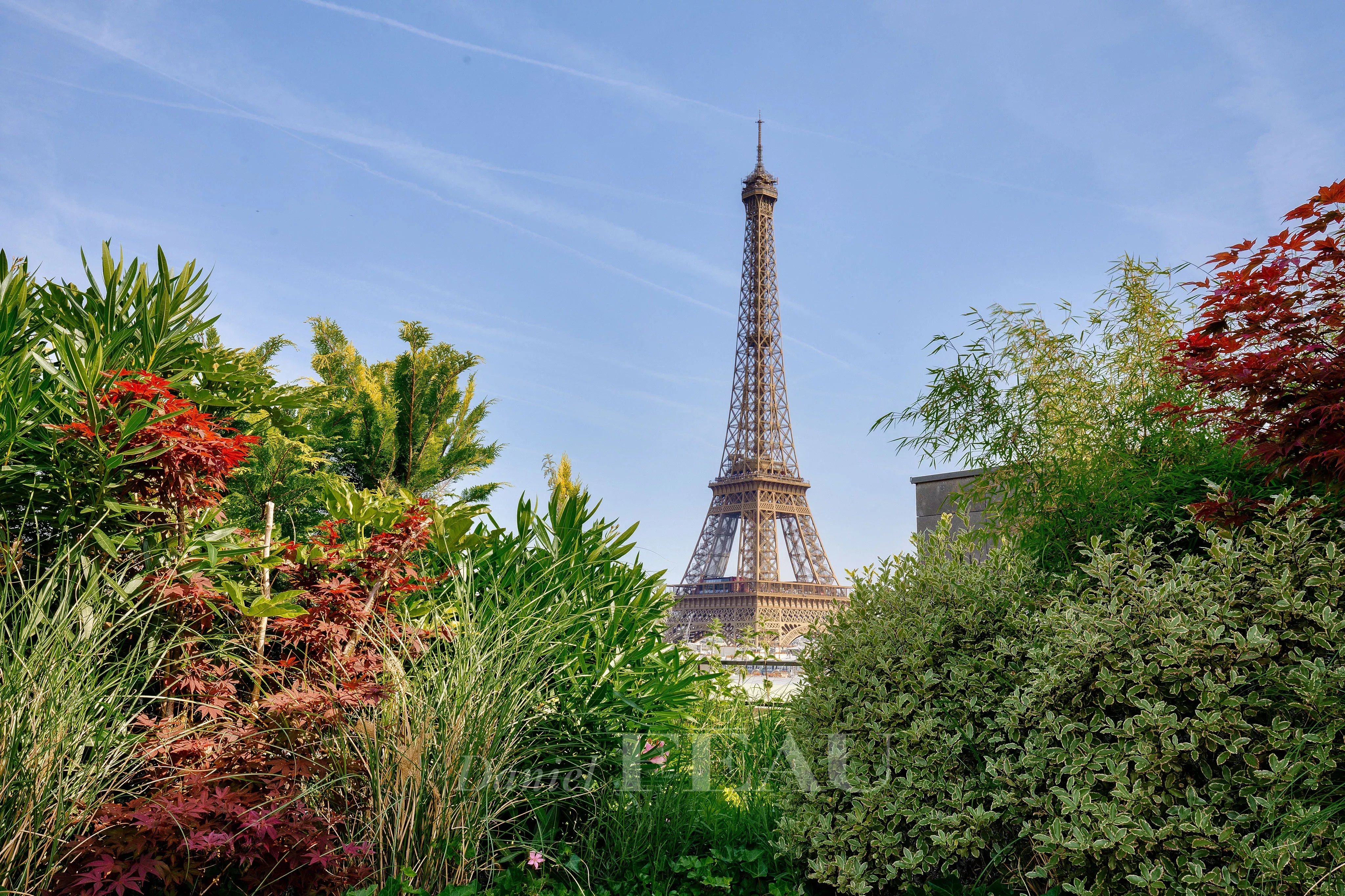 Paris 15th District – A renovated 2-room apartment with a superb terrace