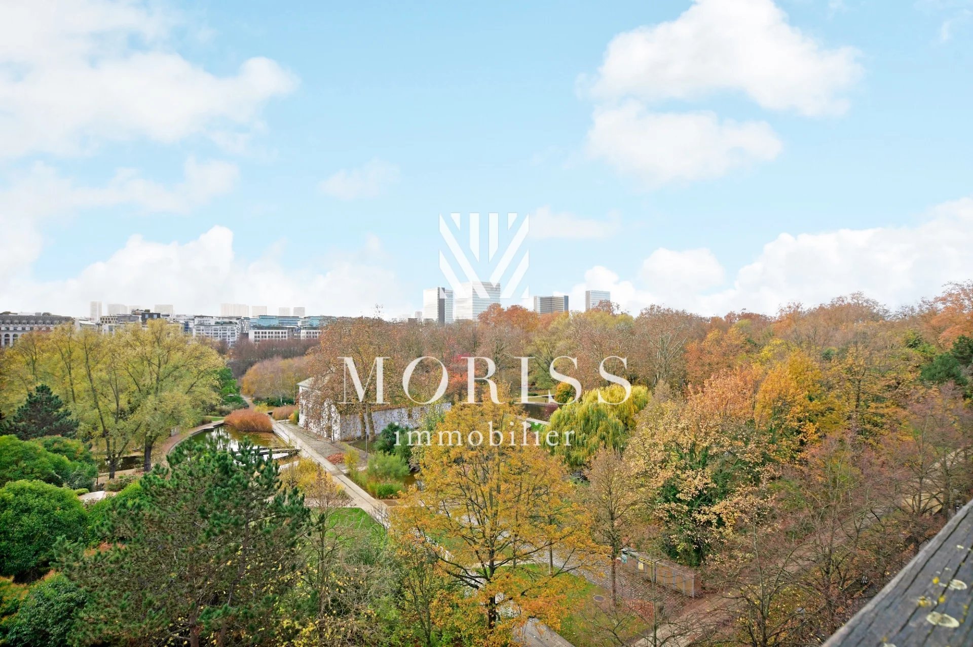 Paris 12 Appartement de 3 pièces + 21 m2 de terrasse - Image Array