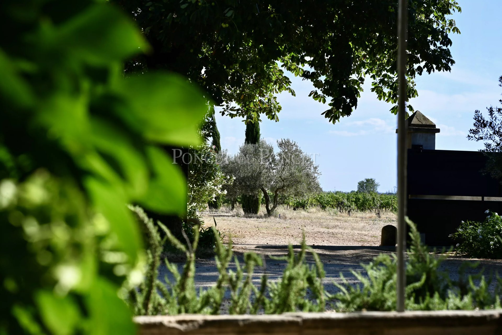 10 Bedroom Vineyard's Image 23