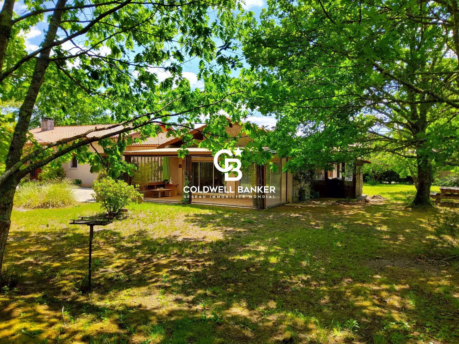 Agence immobilière de Silver Coast Int. Realty