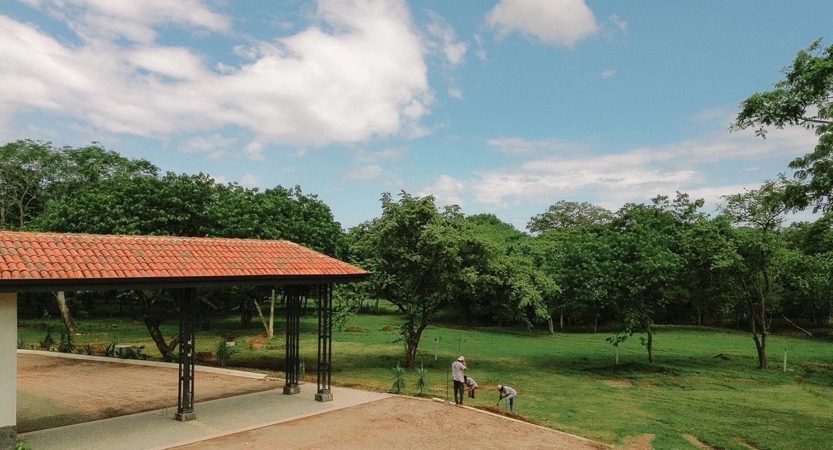 Sale Plot of land Tamarindo