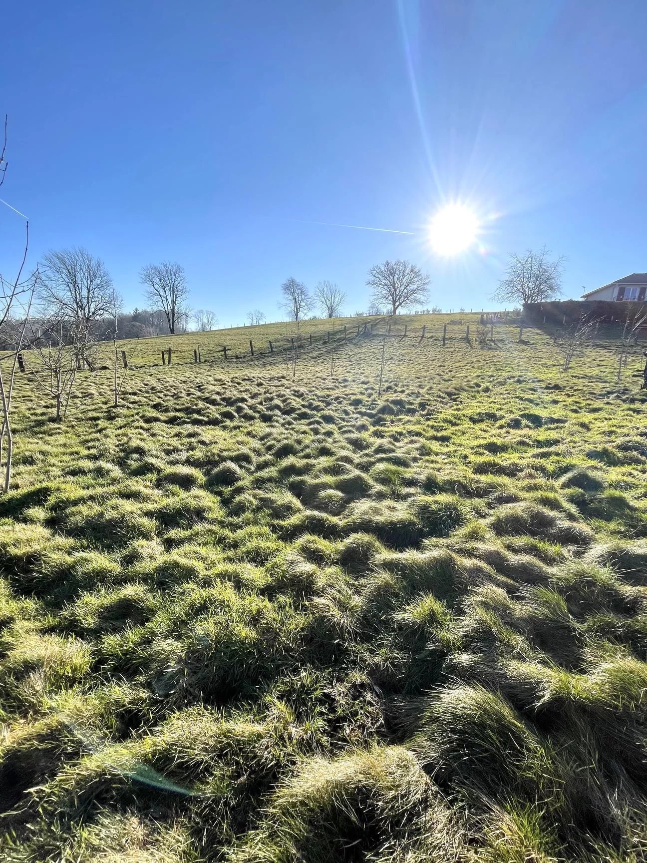 Vente Terrain Xertigny
