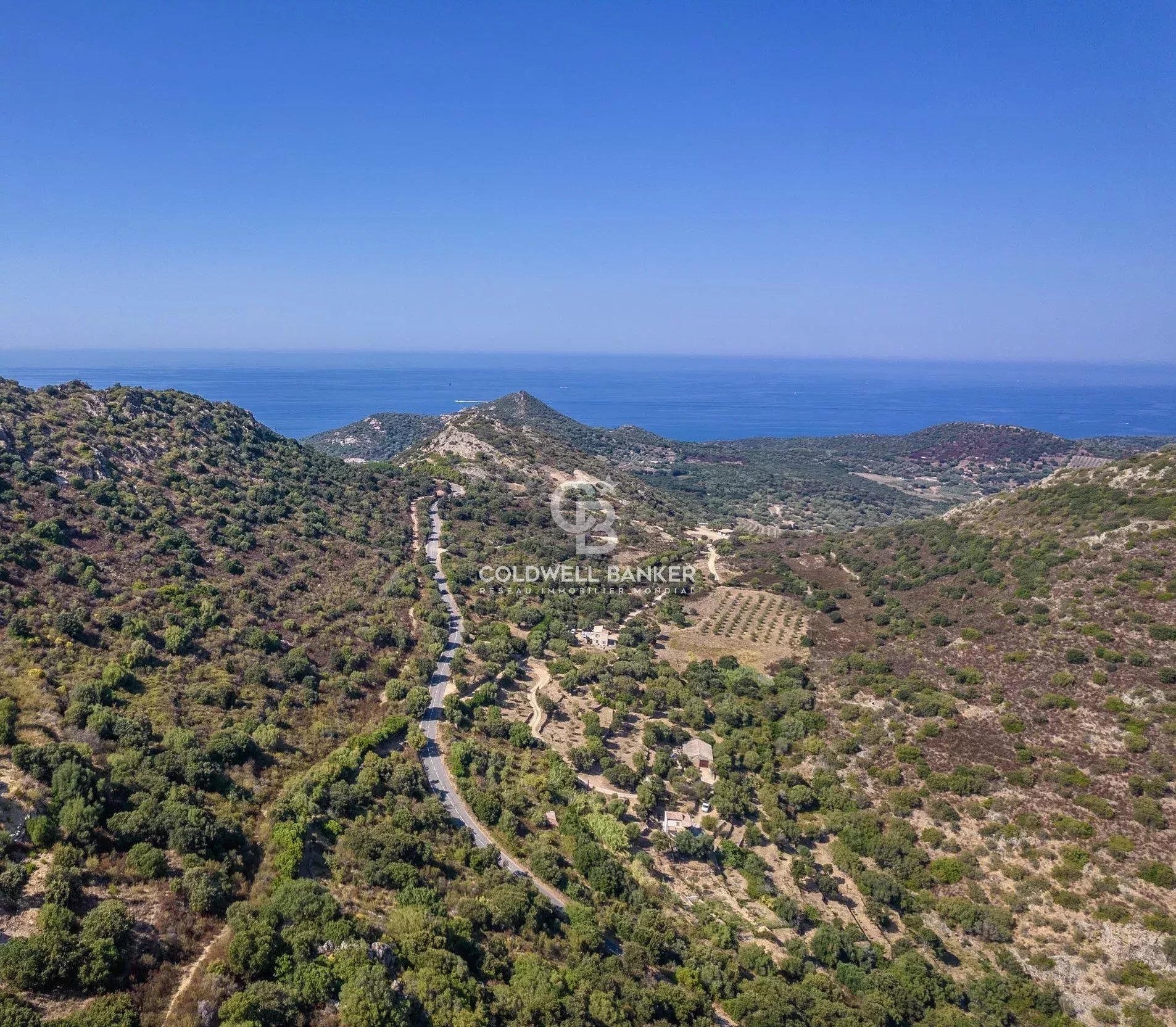 Agence immobilière de Coldwell Banker Allegrini Realty