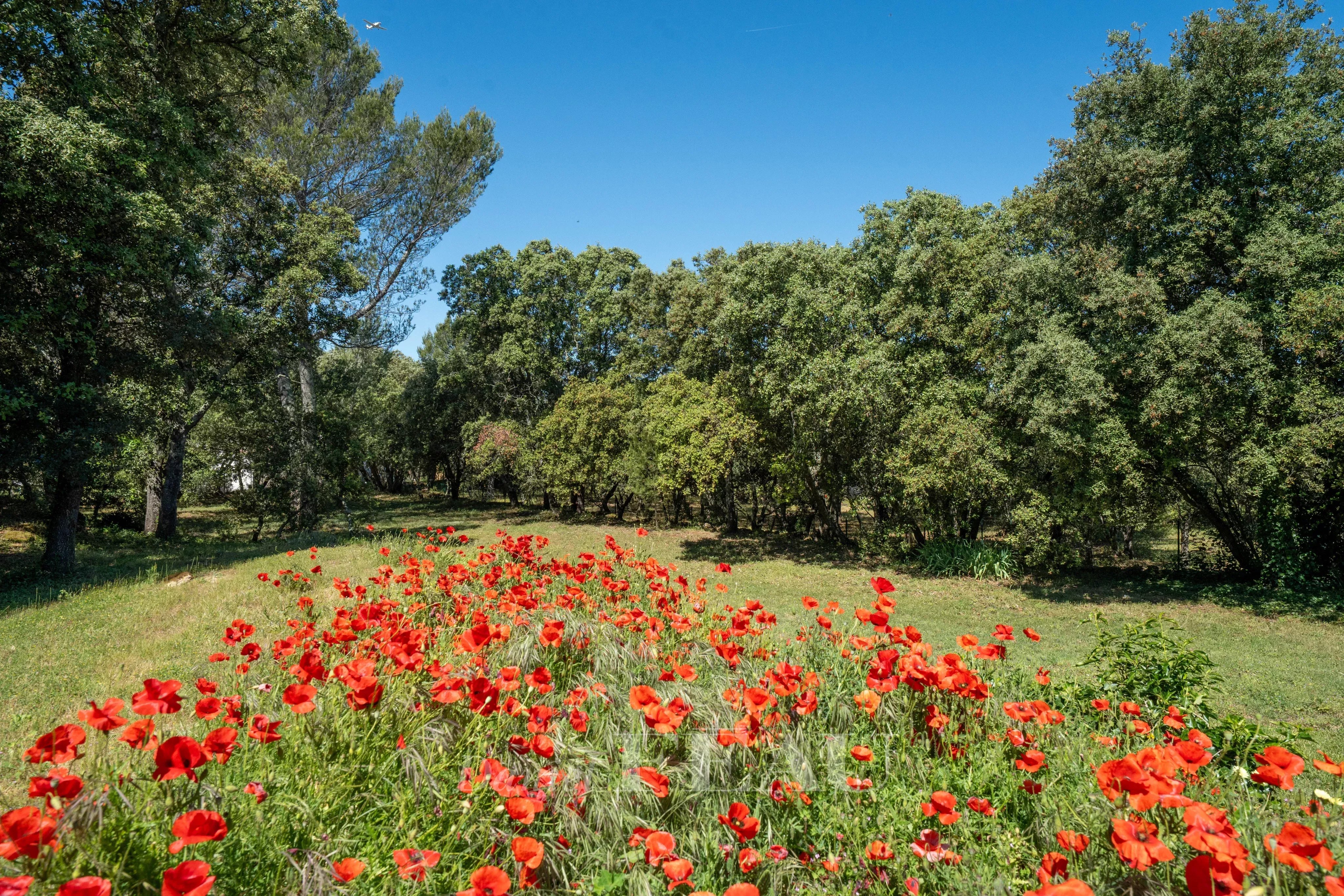 Sale House Aix-en-Provence