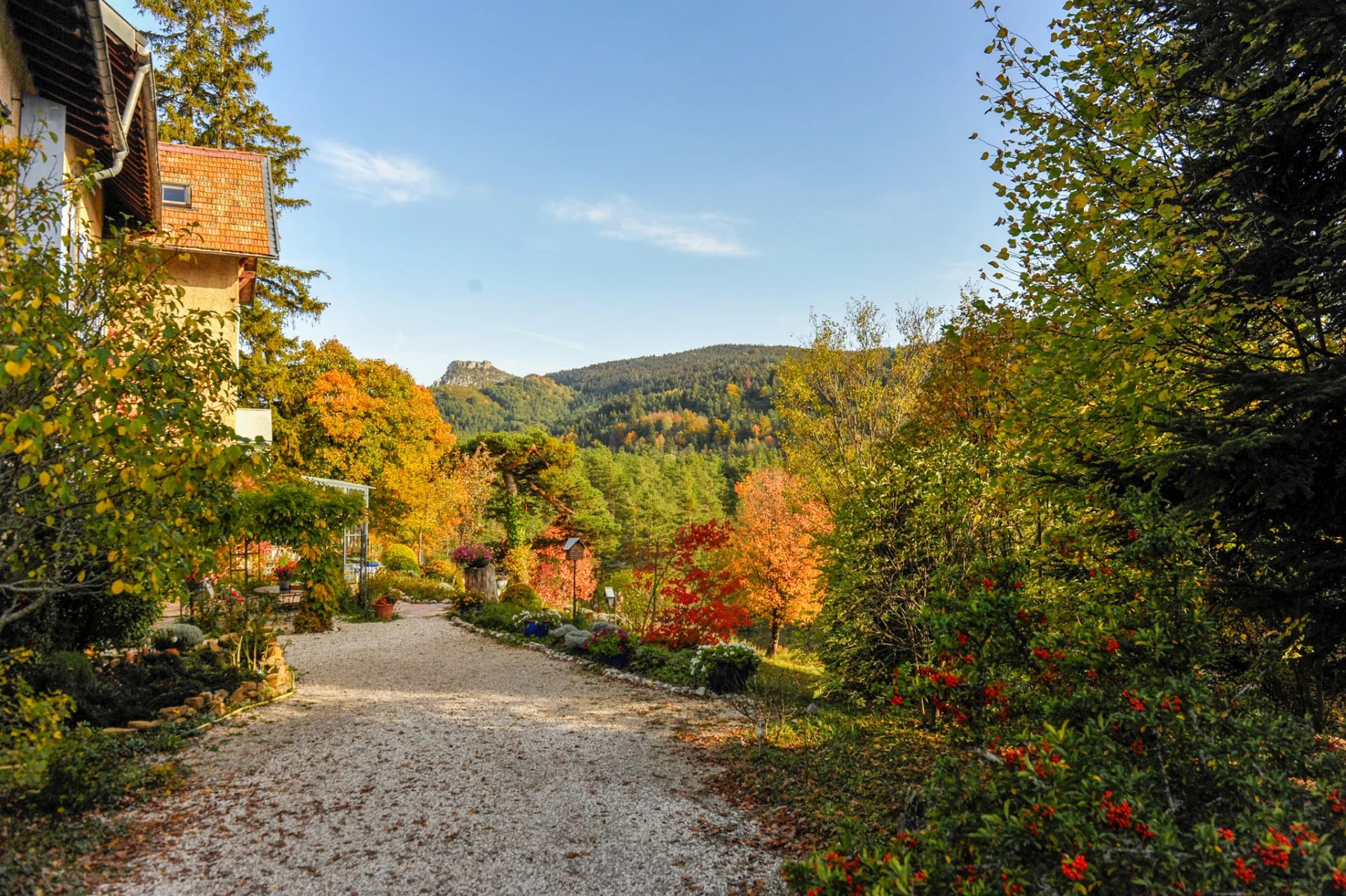 Unique and magnificent house - Andon (Thorenc)