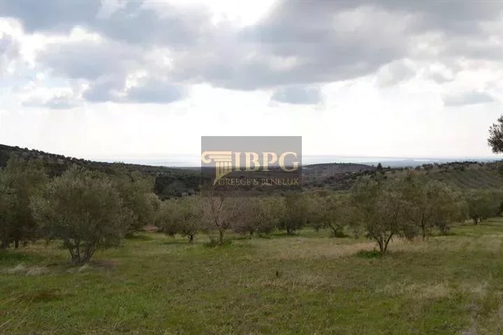 for sale Land in Polygyros Epirus 105000m2 ,1200000€