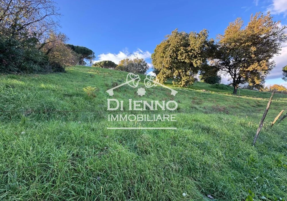 Vendita Terreno agricolo Morlupo