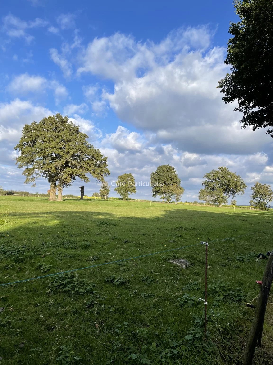 Vente Terrain Nozières