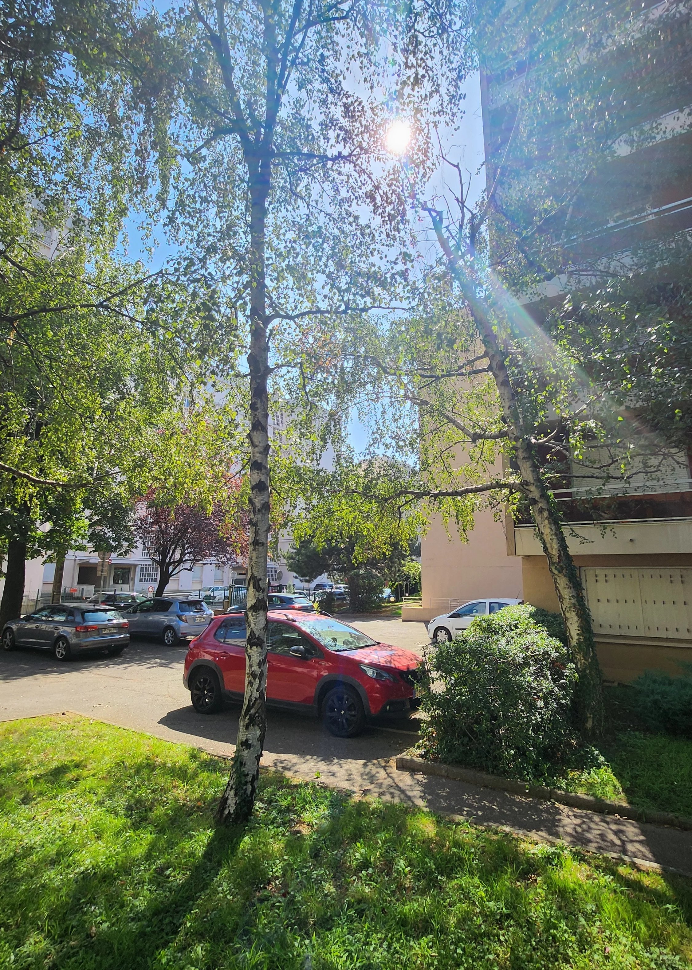 Appartement spacieux de 105m² à Villeurbanne, 3 chambres — photo 19