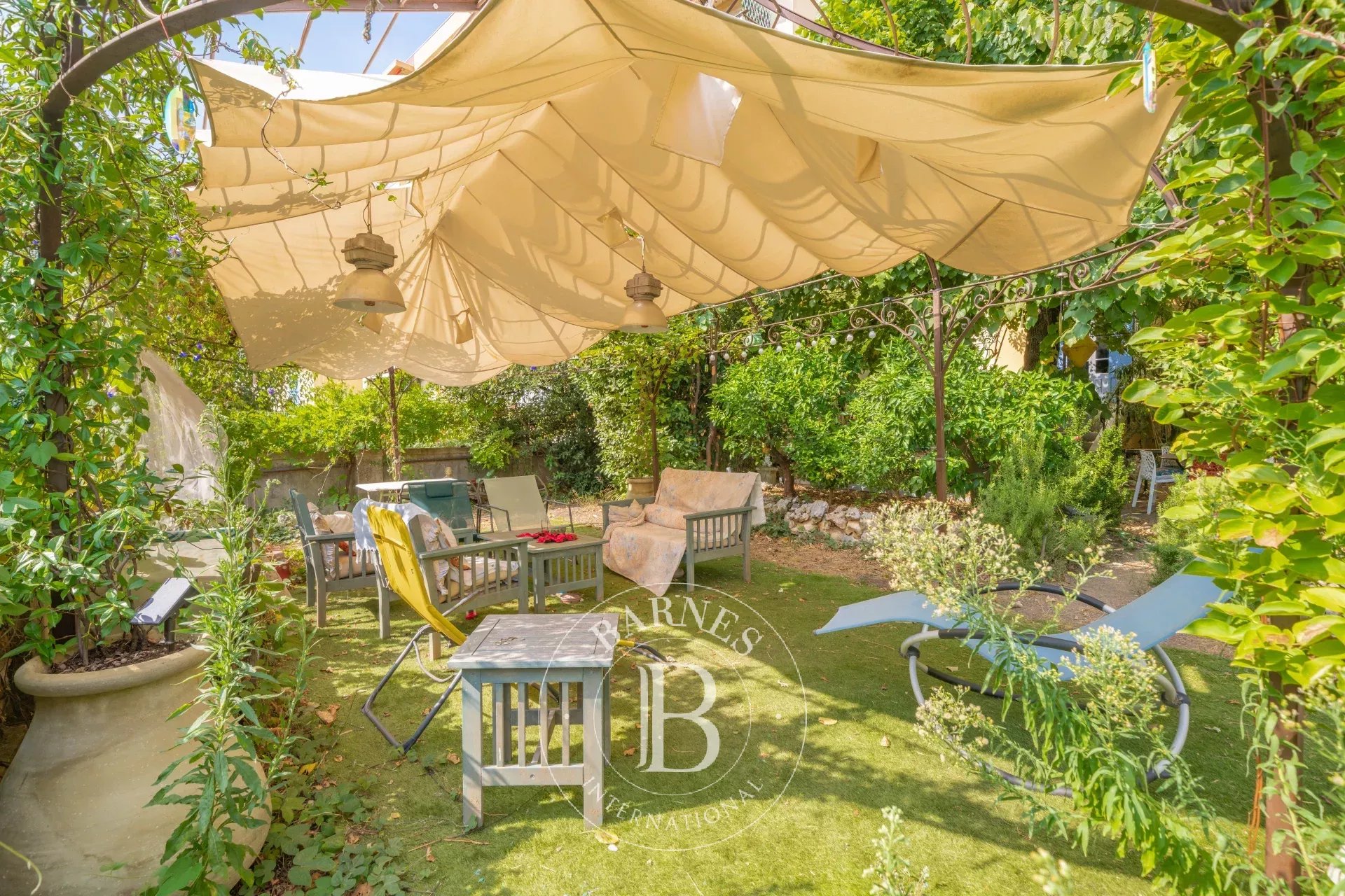 Ev Grasse - picture 13