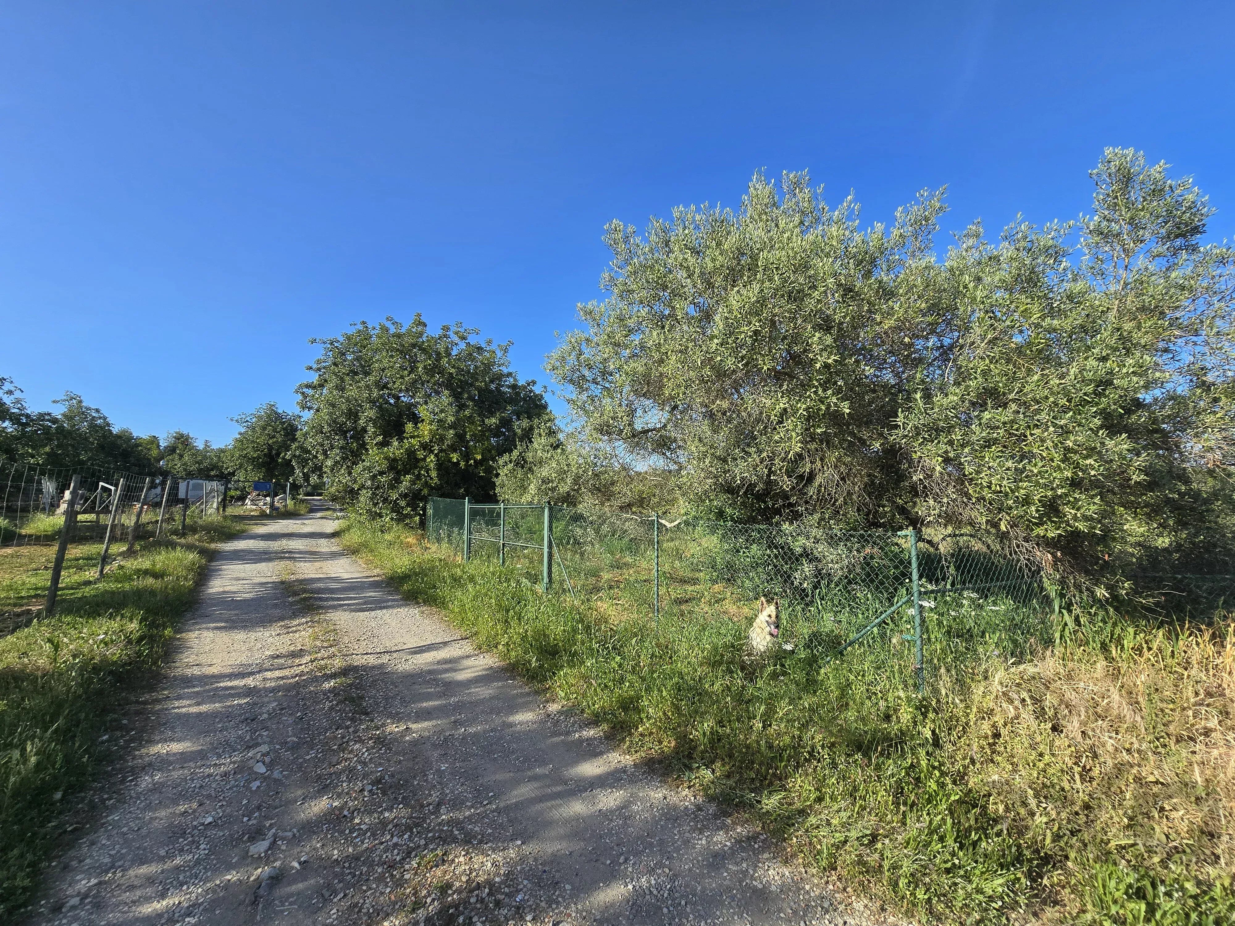 6 room Farmhouse with 1.5 hectares of land and sea view 86949039 image 11