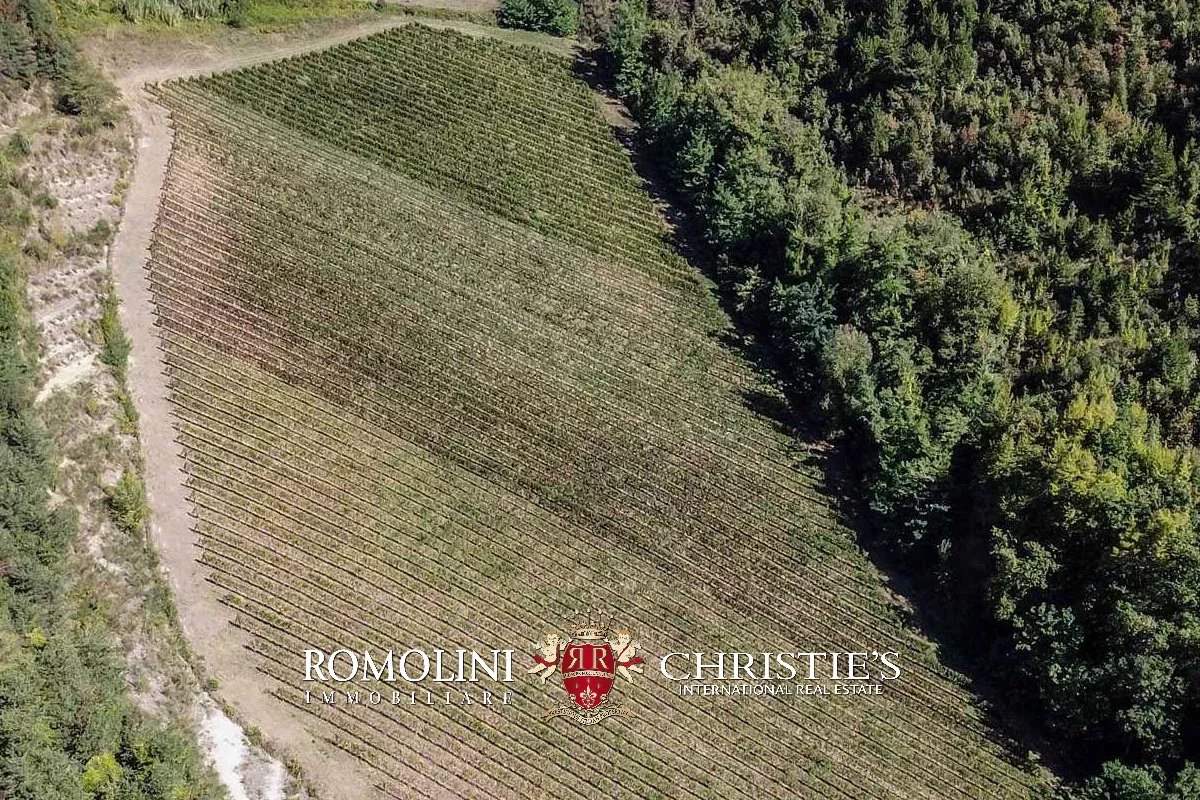 3 Bedroom Vineyard's Image 3