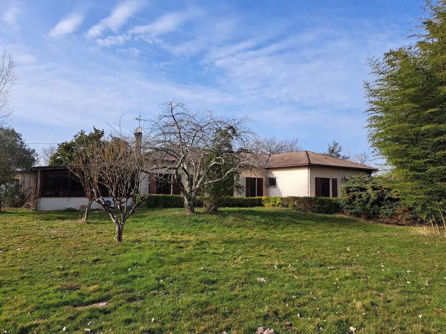 Agence immobilière de 