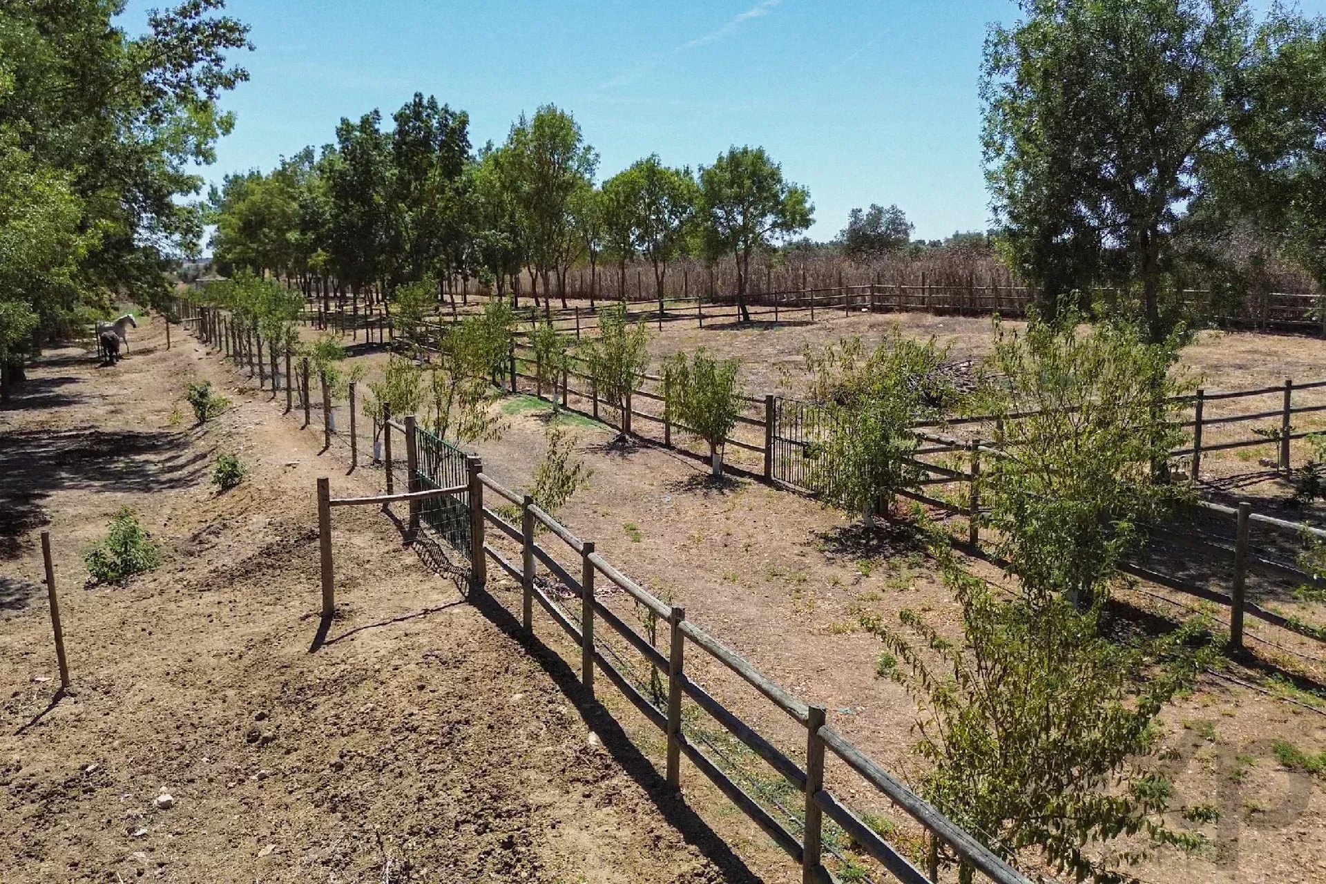 Luxury Equestrian Property + Guest House 85992157 image 13