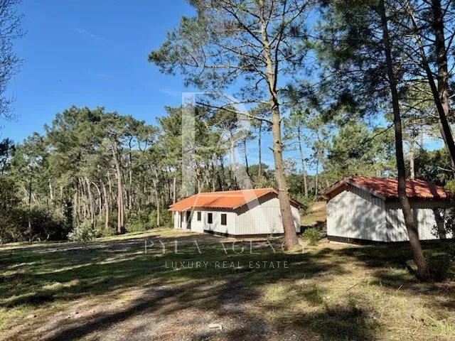 Agence immobilière de Côte d'Argent Immobilier