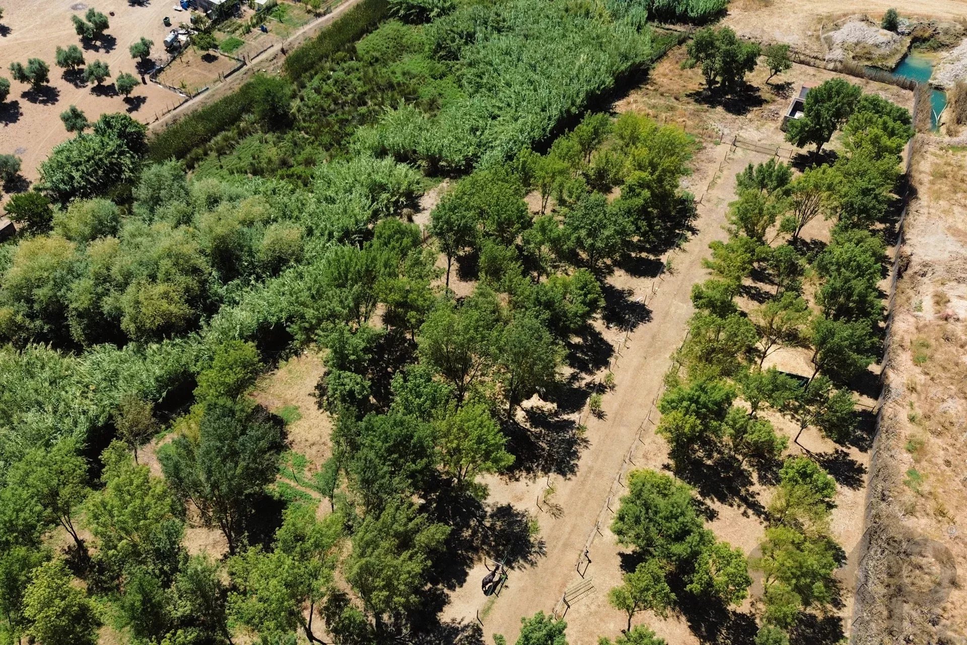 Luxury Equestrian Property + Guest House 85992157 image 7