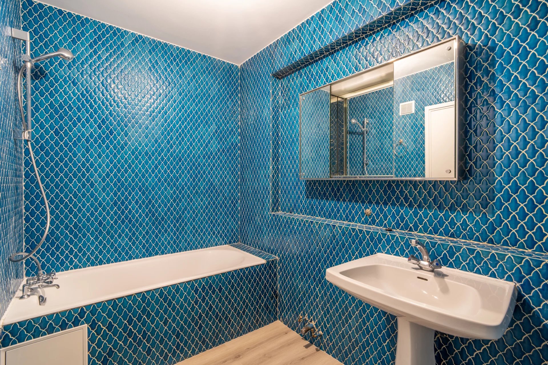 Photo 7 du bien N°86962039