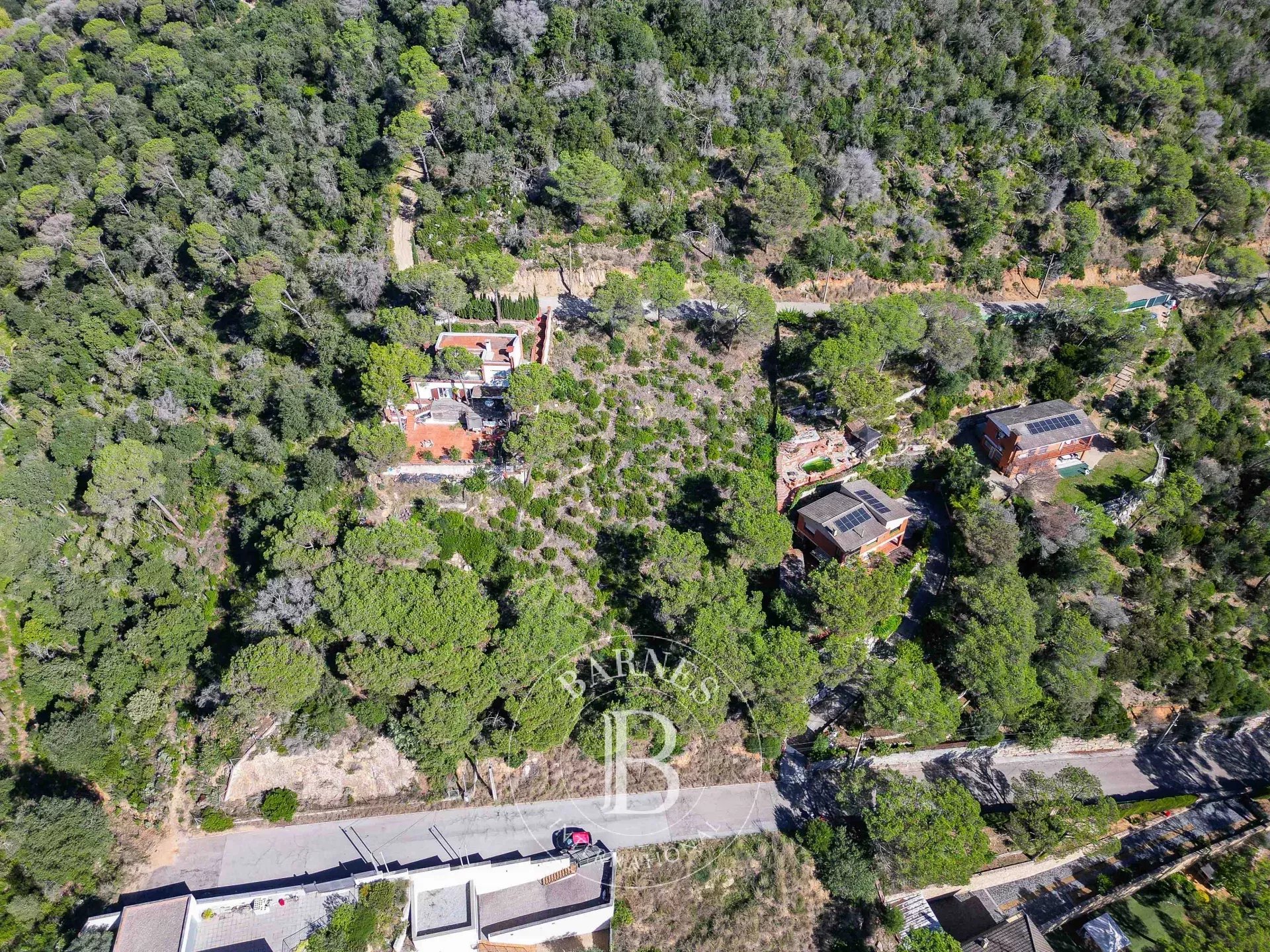 Arazi Dosríus - picture 30