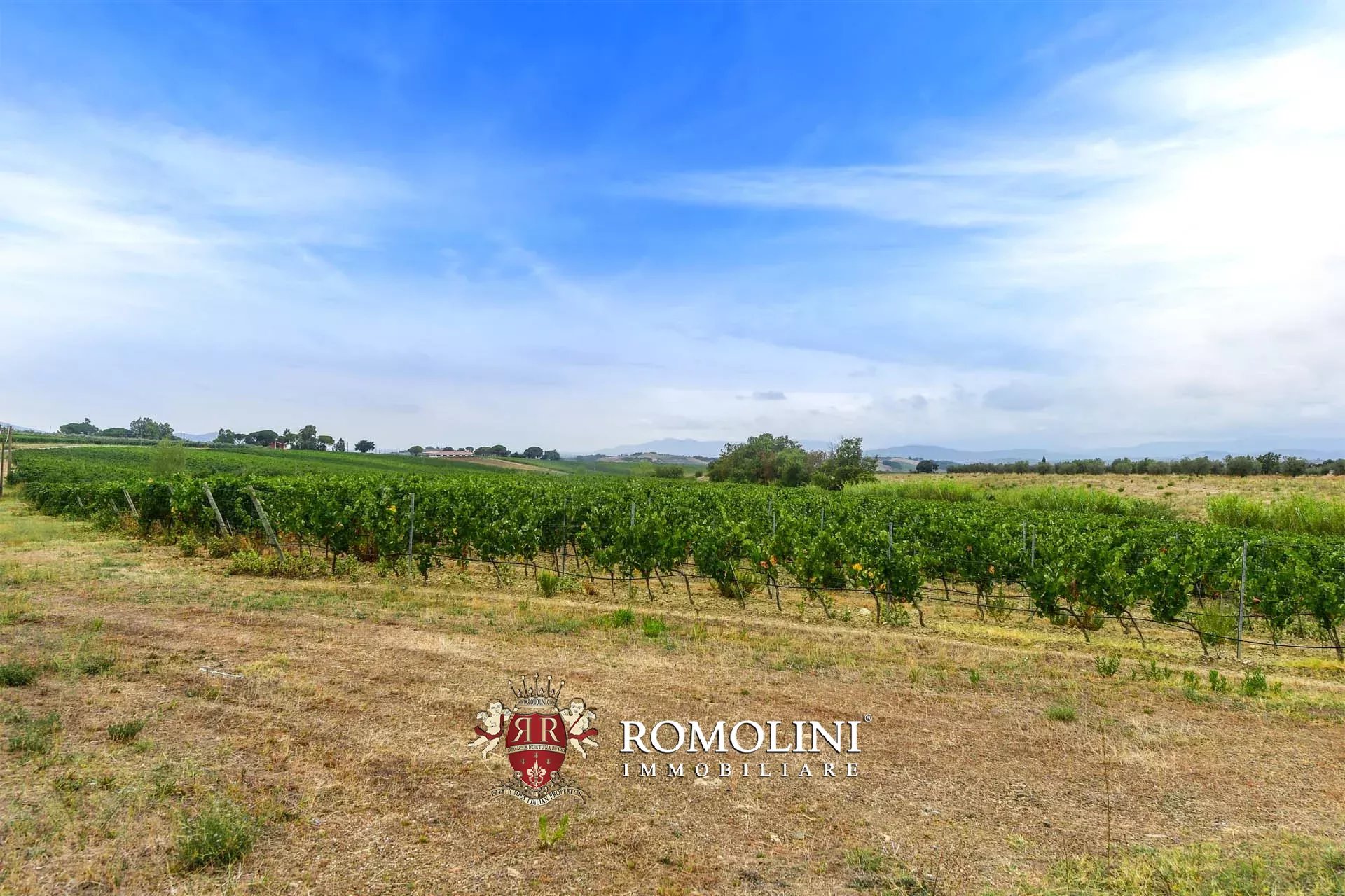 5 Bedroom Vineyard's Image 3
