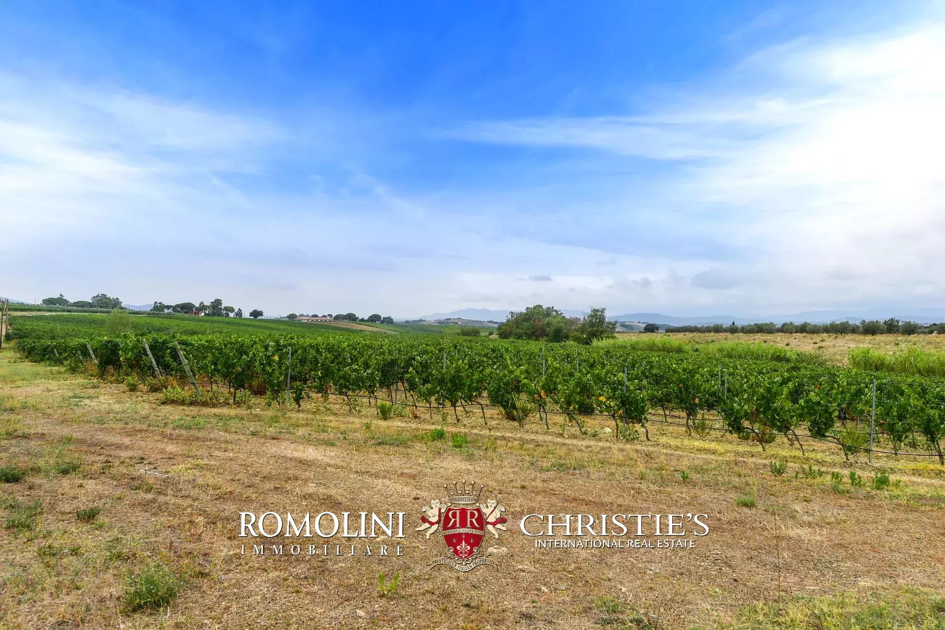 5 Bedroom Vineyard's Image 3