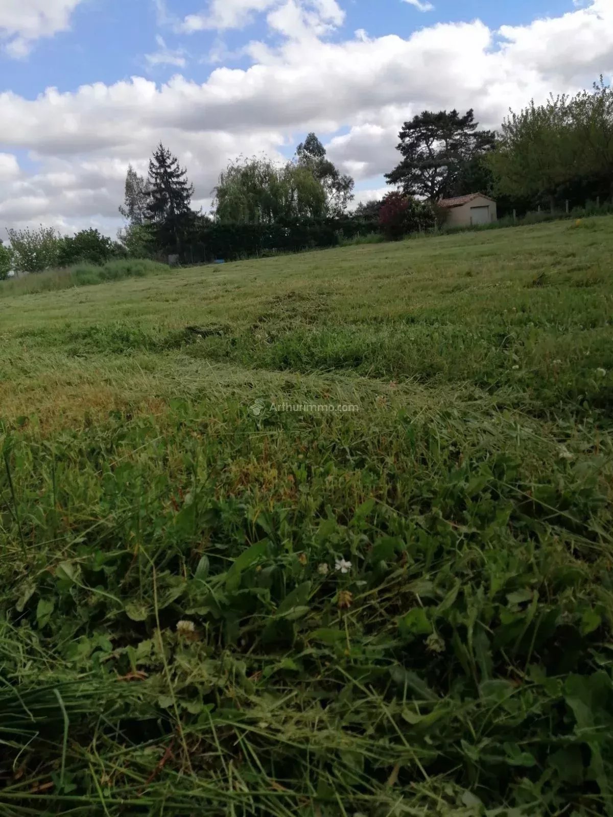 Agence immobilière de Arthurimmo.com - Albi