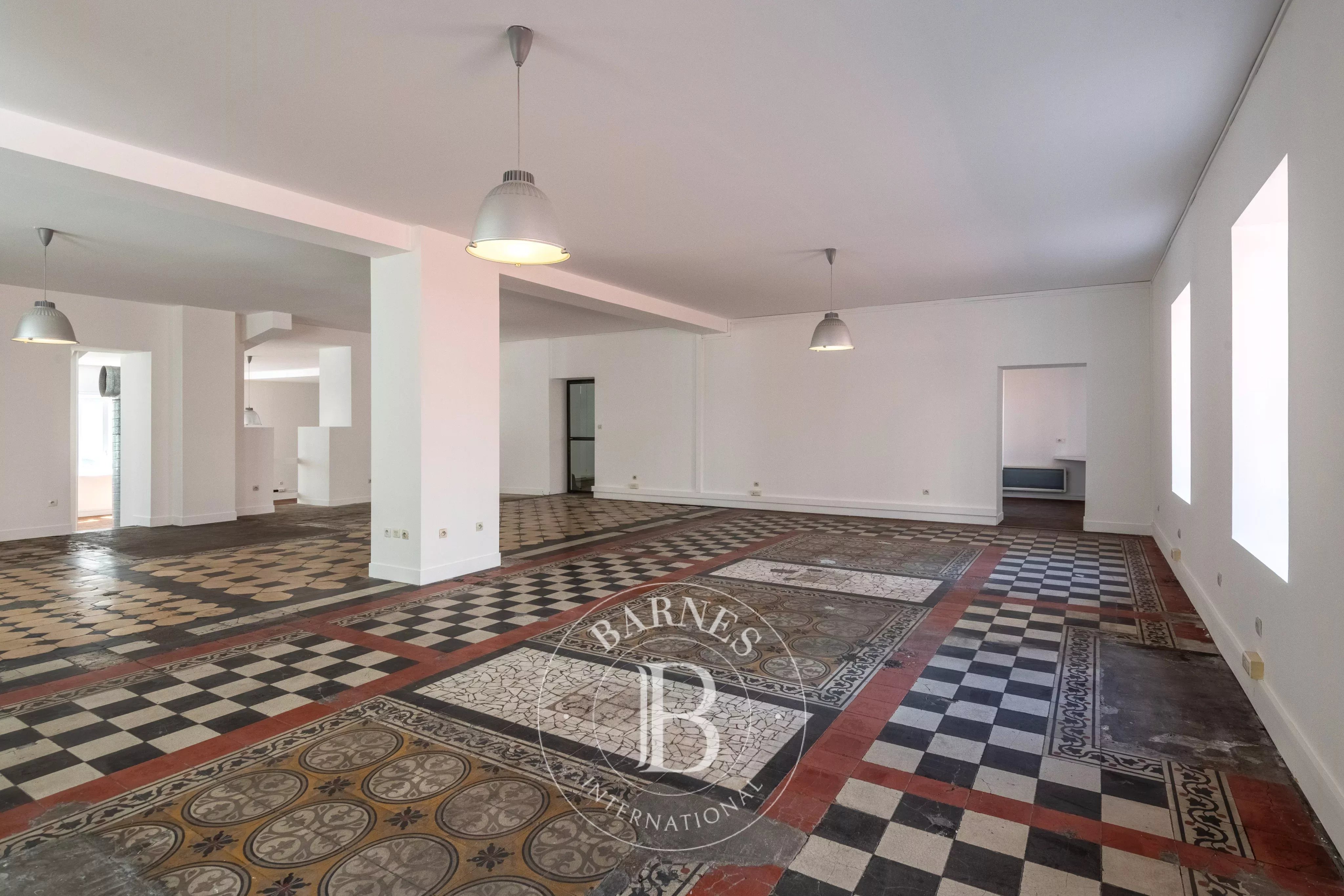 Appartement Lyon 69007  -  ref 87088174 (picture 3)