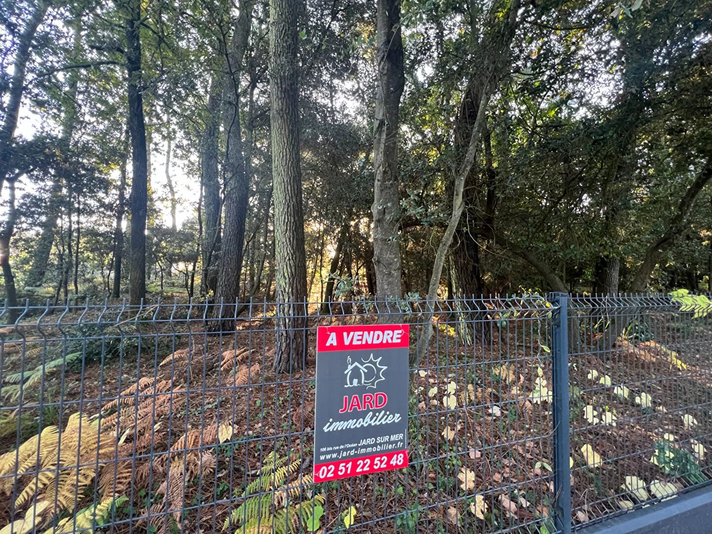 Vente Terrain Jard-sur-Mer