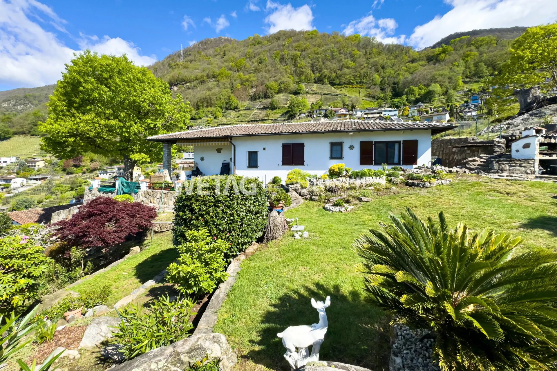 Property Slider Image