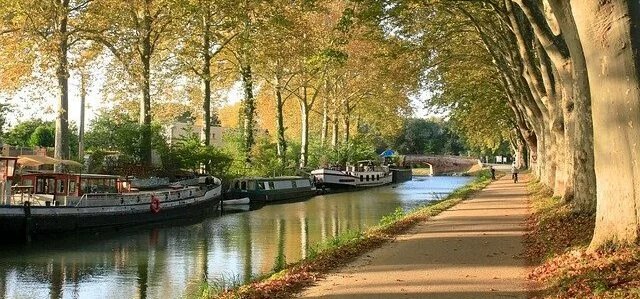 Vente Appartement Toulouse