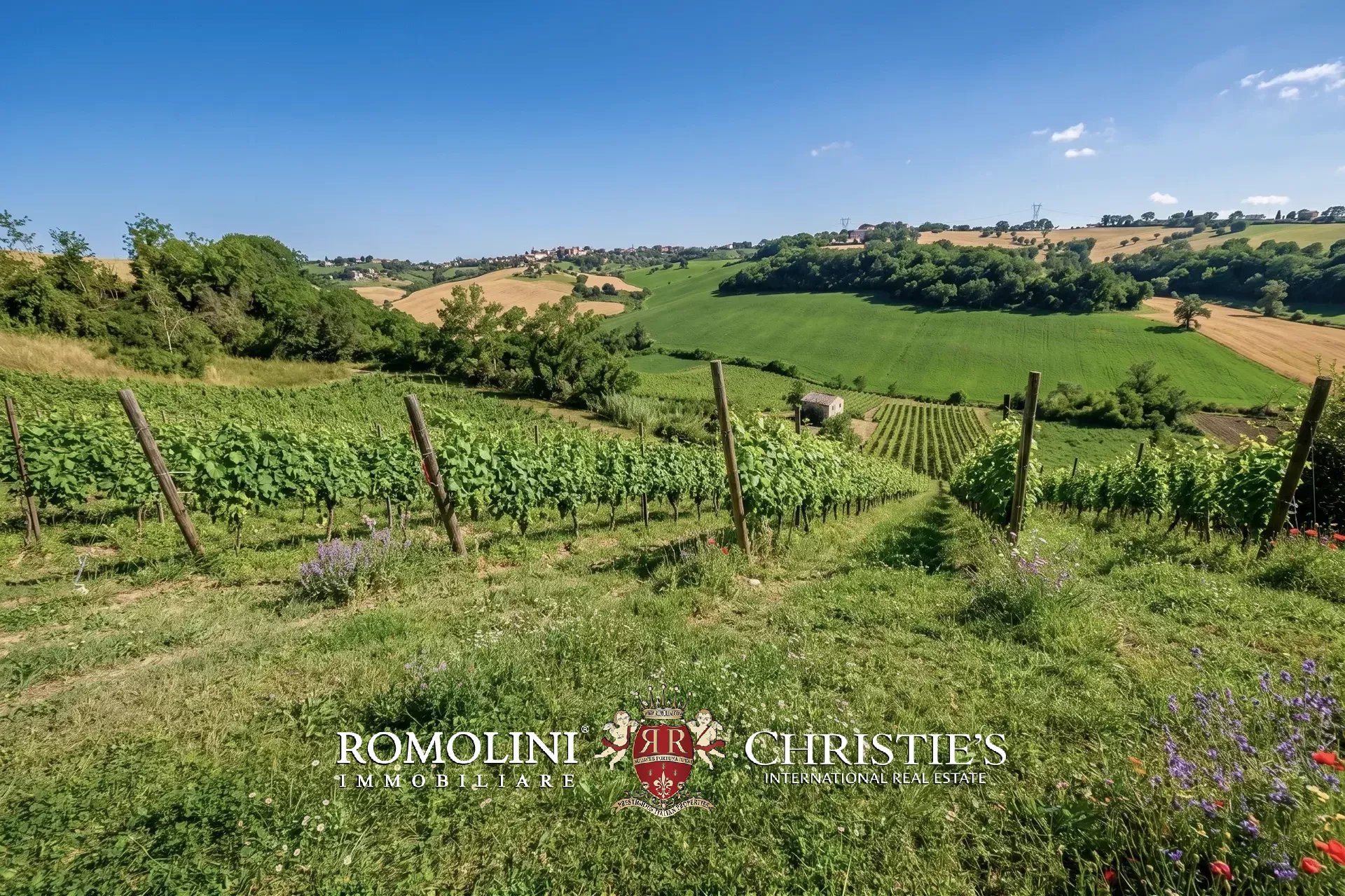 5 Bedroom Vineyard's Image 16
