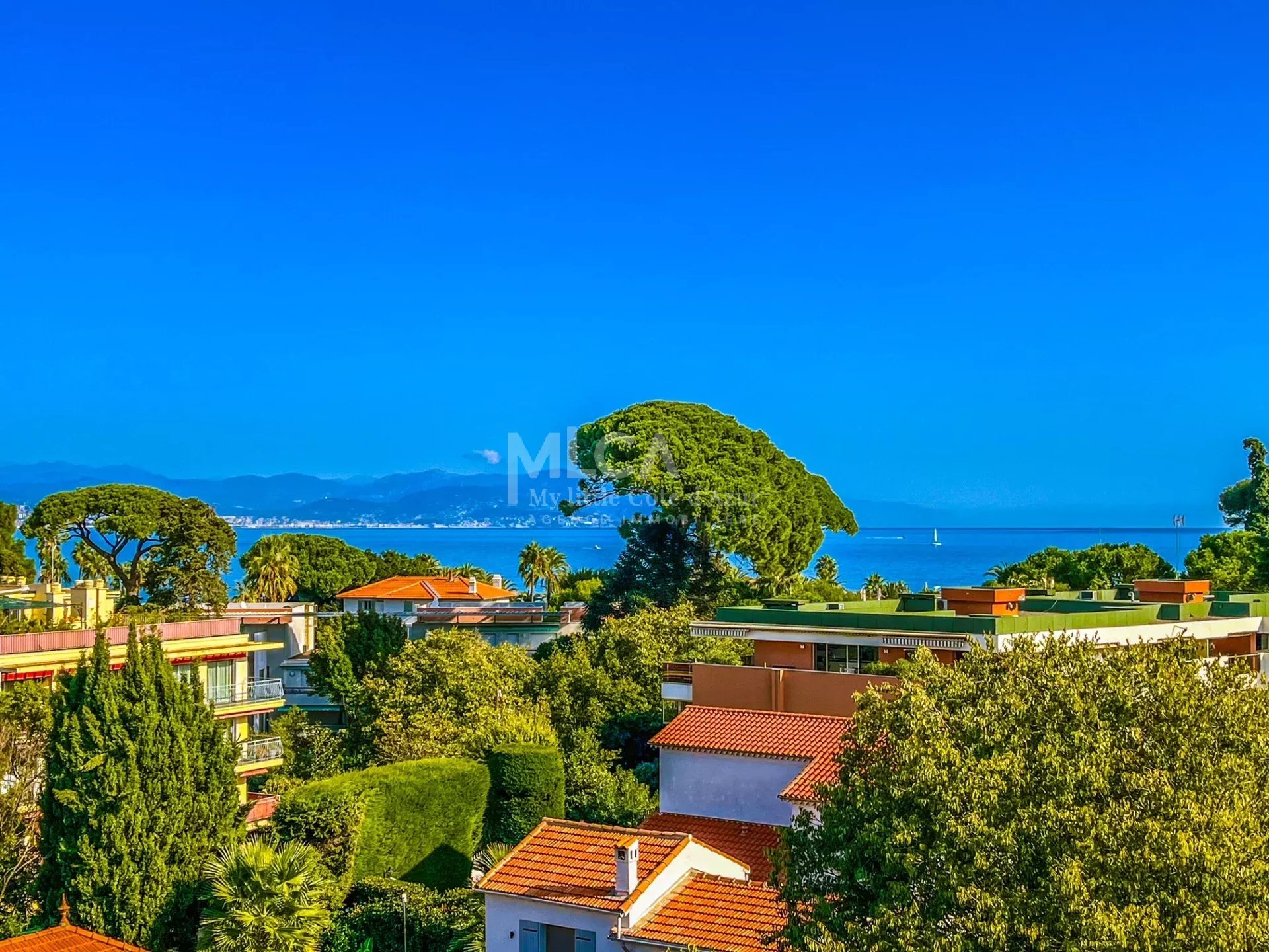 Agence immobilière de My Little Côte d'Azur
