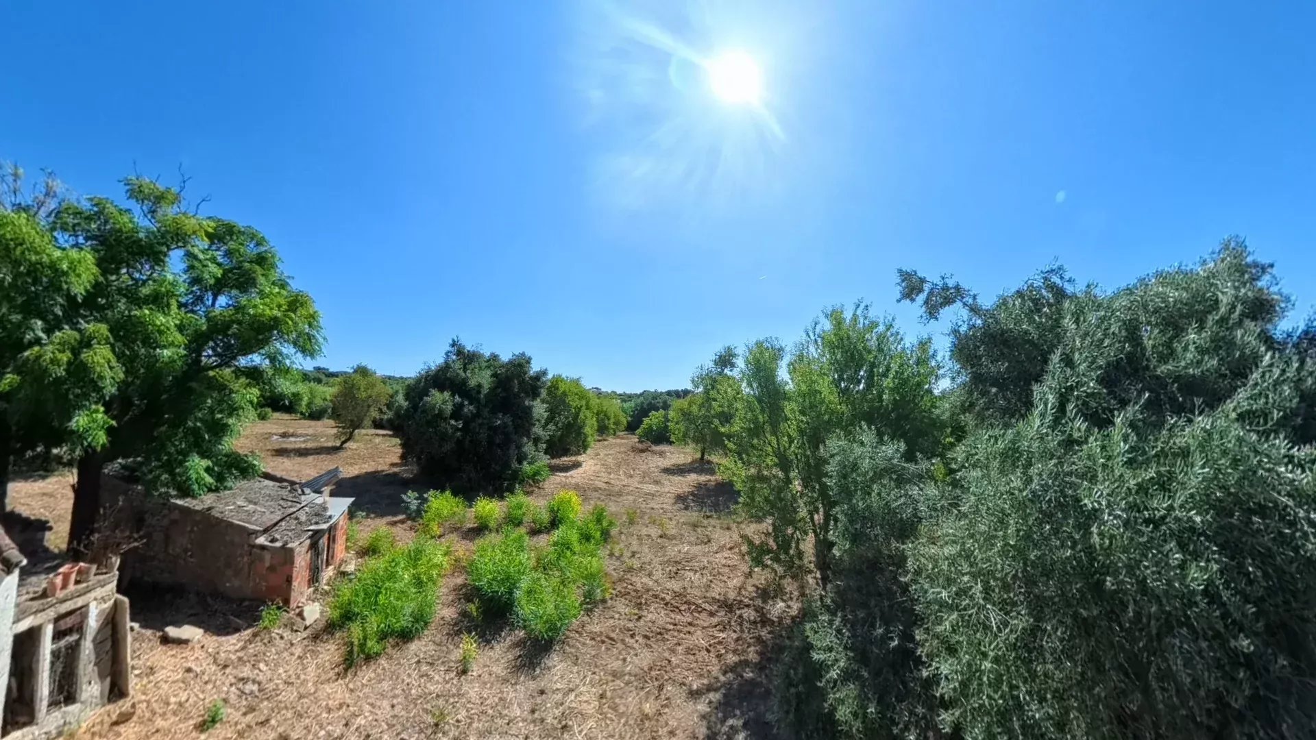 Traditional Countryside Property in Santo Estêvão, Tavira 87172633 image 9