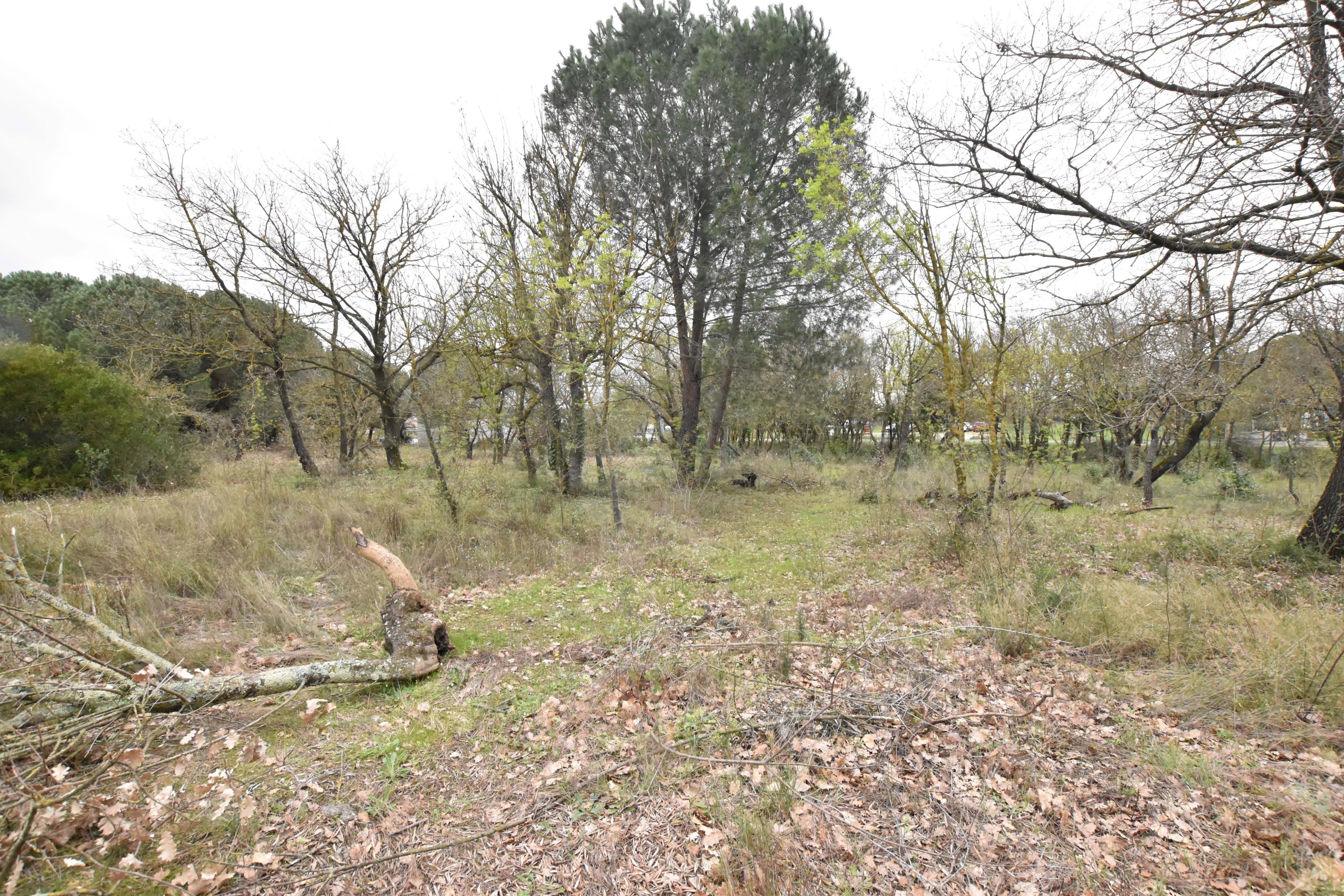 Terrain à vendre à MARAUSSAN - Photo 3