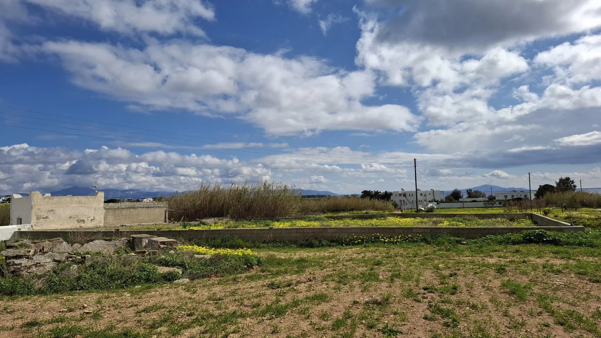 Εικόνα ιδιοκτησίας 5